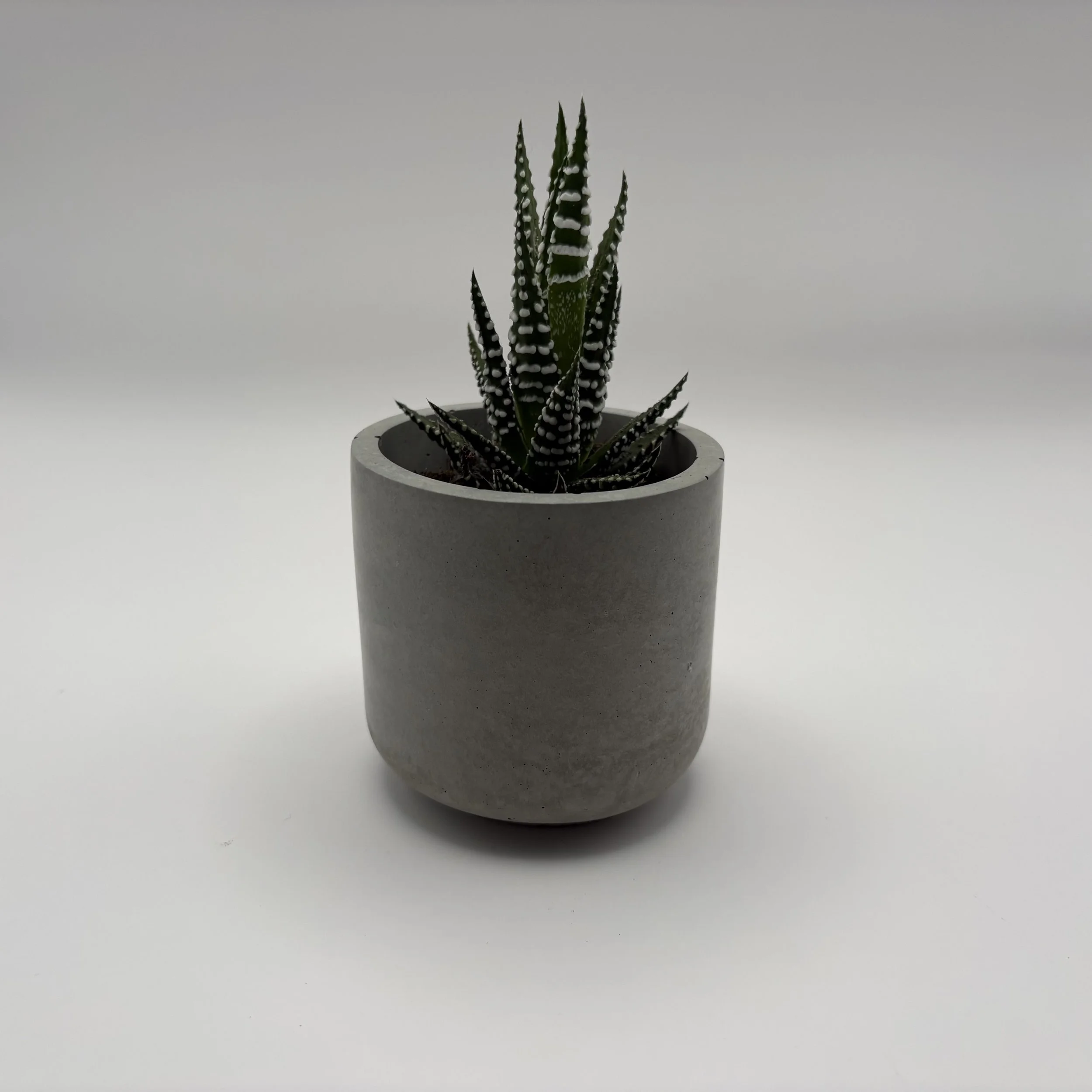 3" Concrete Cylindrical Pot