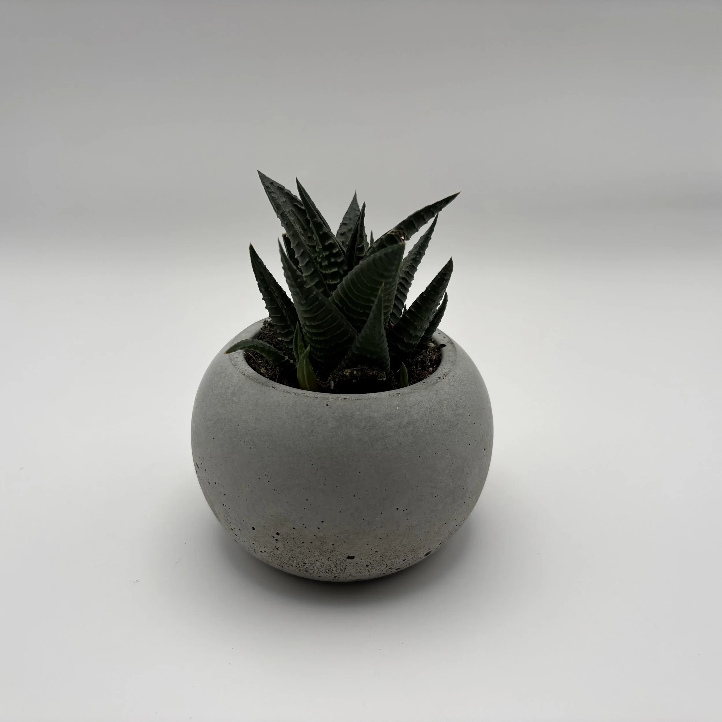 Concrete Globe Pot