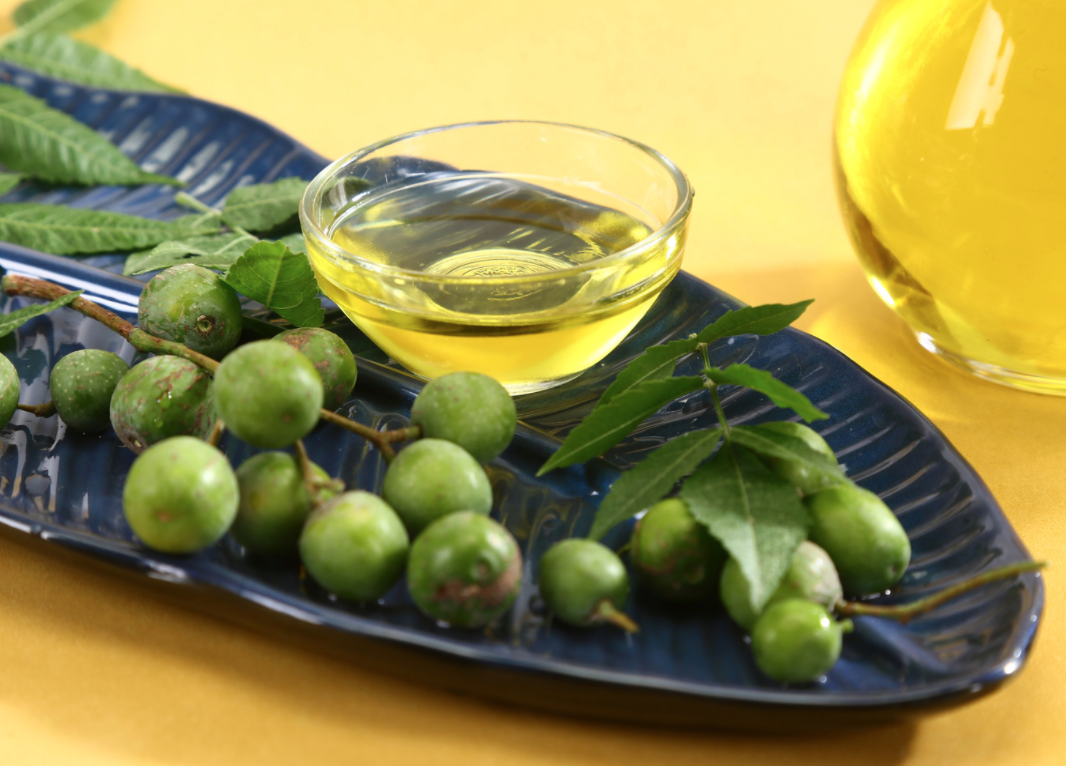 Neem Essential Oil