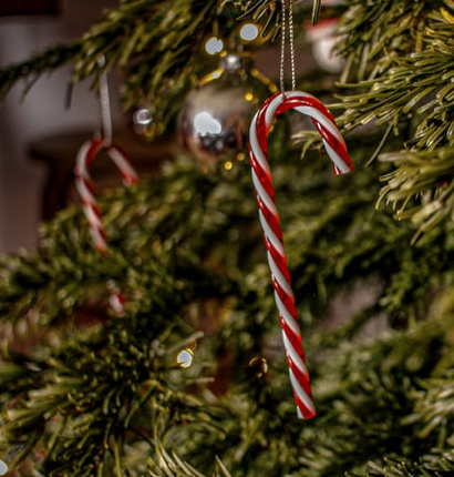 Candy Cane Fragrance Oil - Especially For Me Version