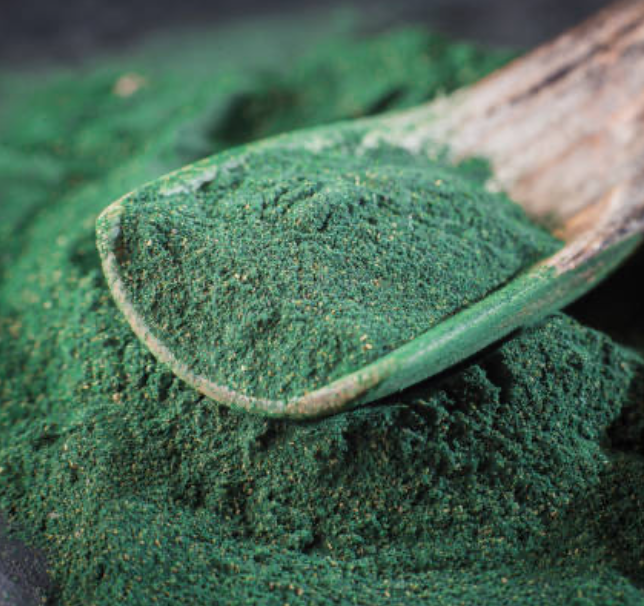 Spirulina Powder