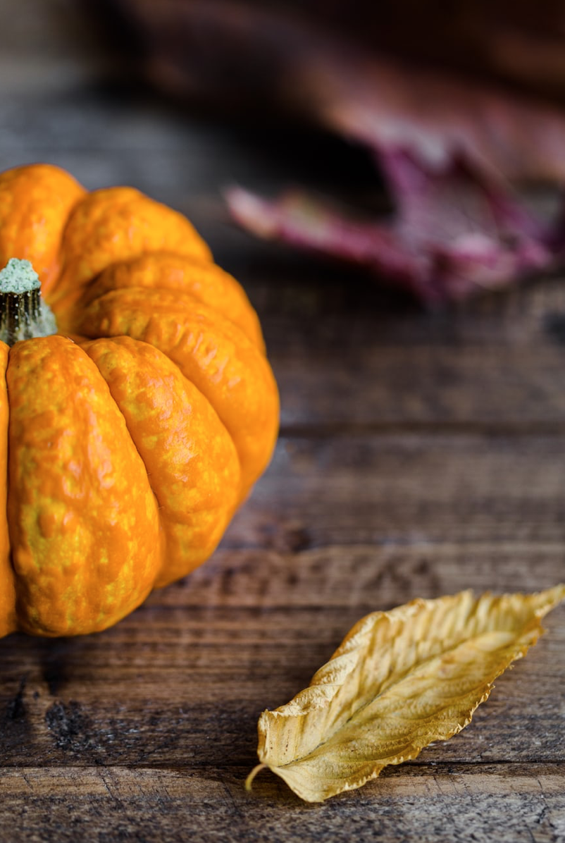 Autumn Harvest Fragrance Oil - Mellow Days Edition