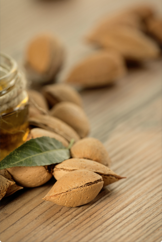 Sweet Almond Oil