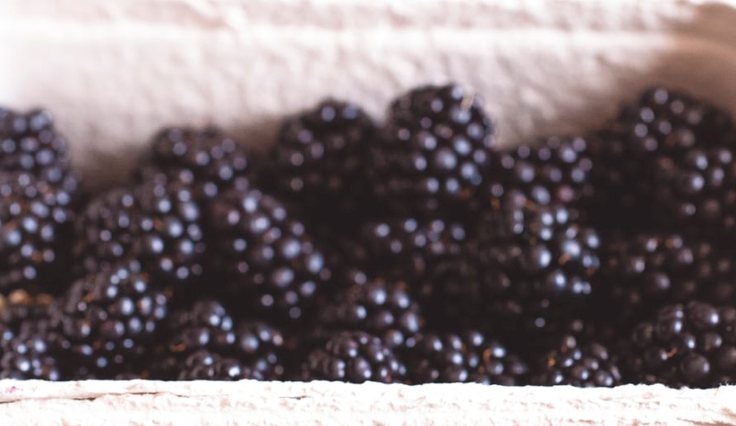 Blackberry Fragrance Oil - Prickly Stalk Edition