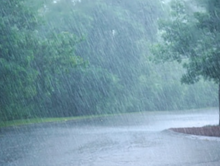 Rain Storm Fragrance Oil