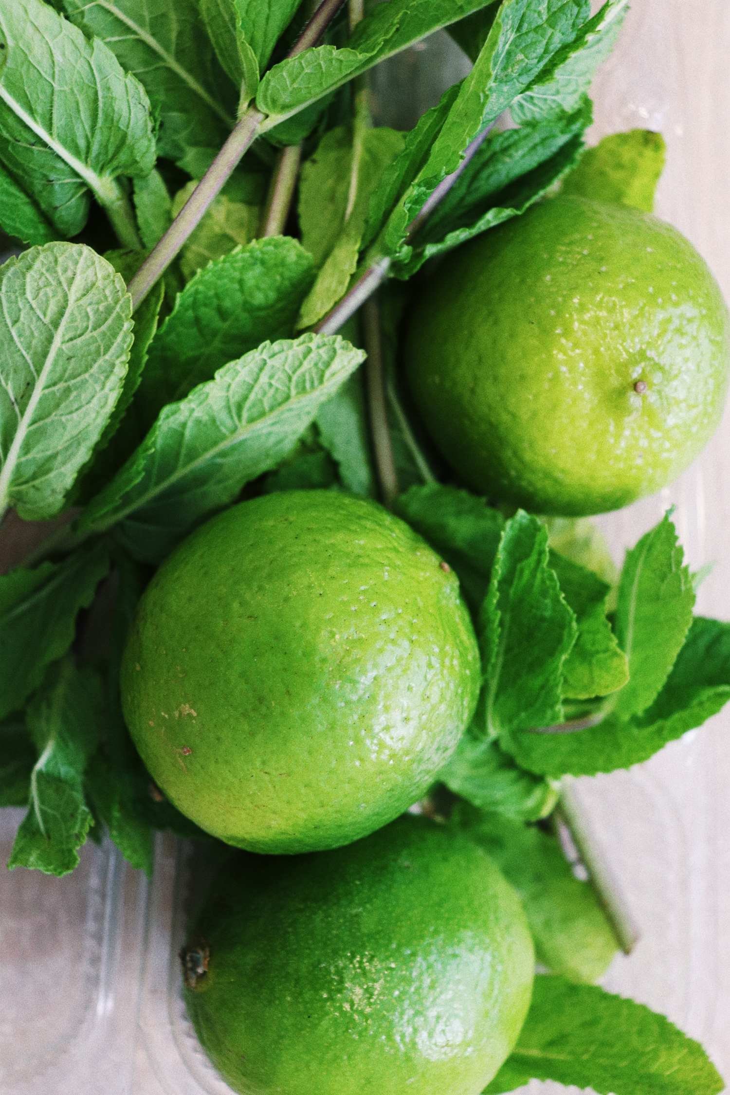 Lime Essential Oil