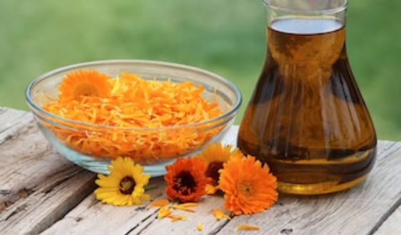 Calendula Extract