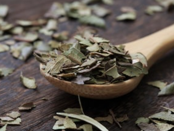Lemon Myrtle Essential Oil