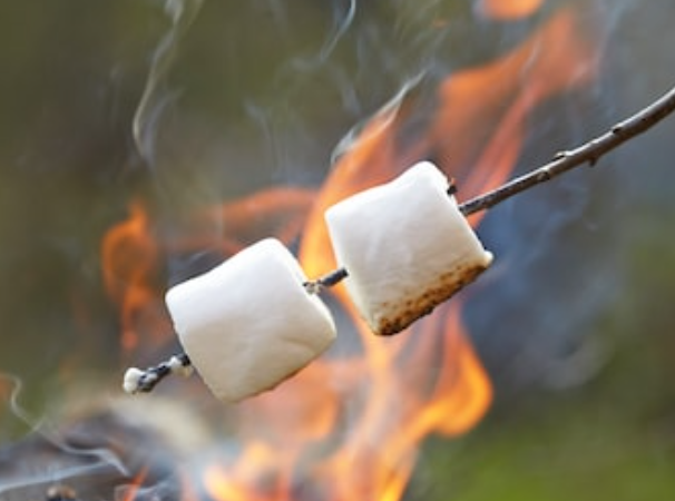 Marshmallow By the Fire Fragrance Oil - Adorable Dessert Version @Blaze&Foam