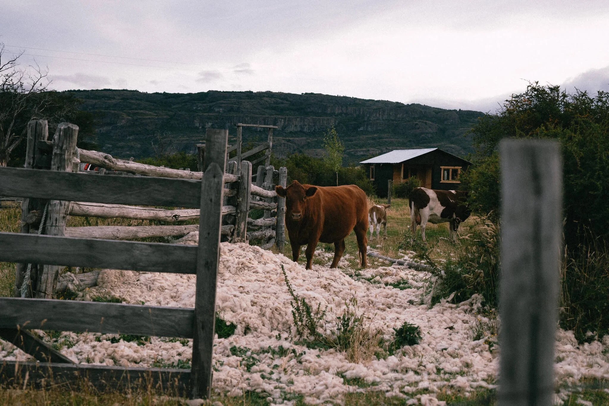 CarmenWetzel-Reisefotografie-PatagonienChile8.jpg