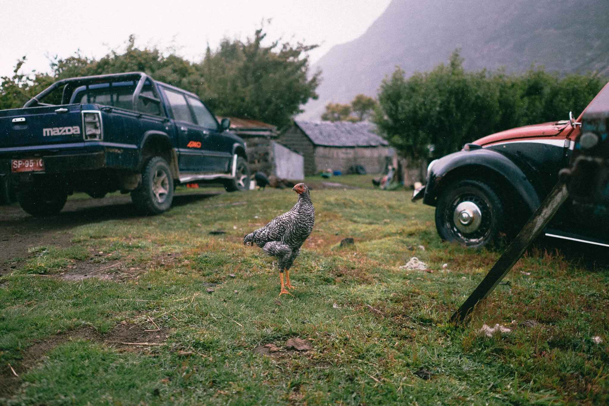 CarmenWetzel-Reisefotografie-PatagonienChile33.jpg