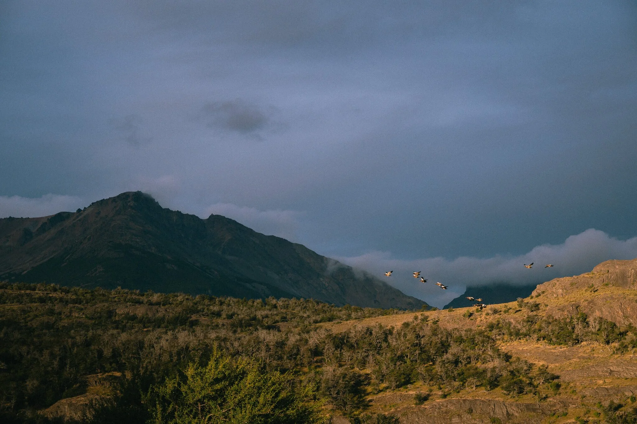CarmenWetzel-Reisefotografie-PatagonienChile10.jpg