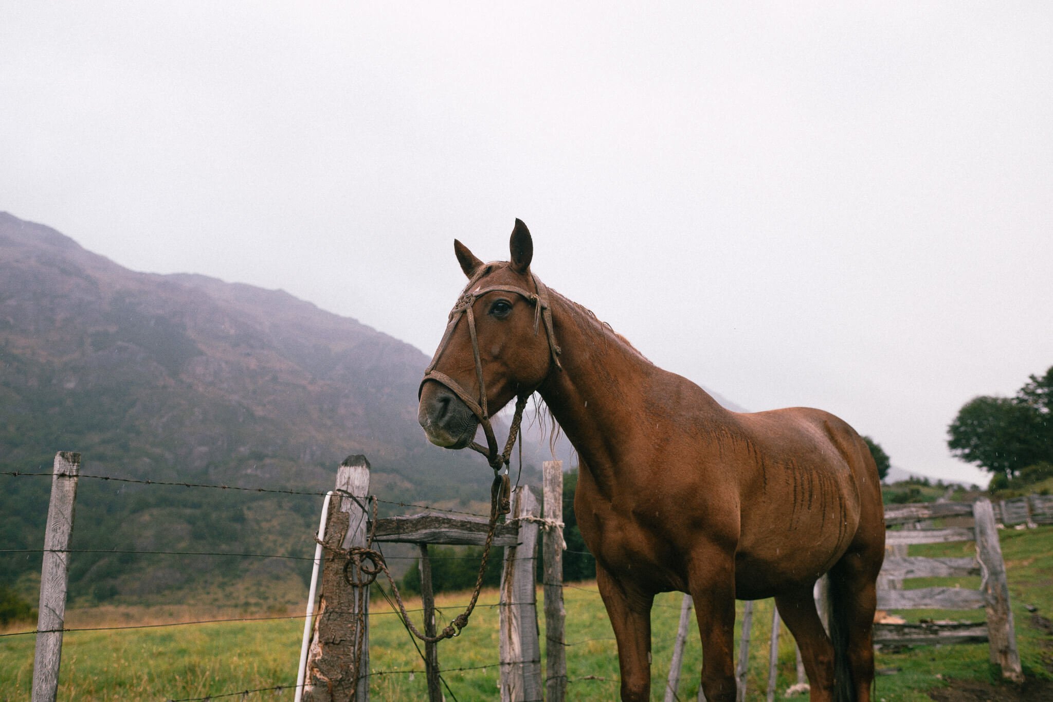 CarmenWetzel-Reisefotografie-PatagonienChile30.jpg