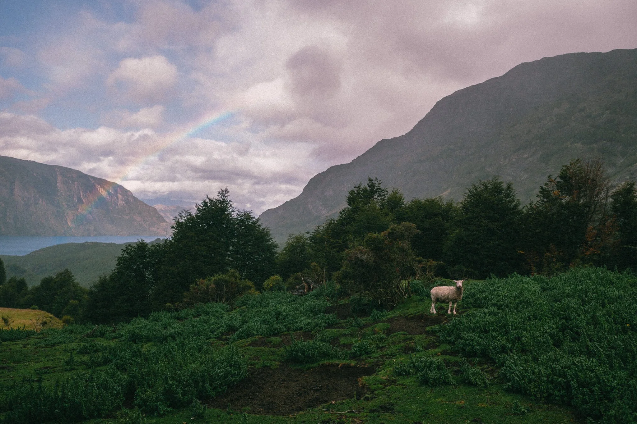 CarmenWetzel-Reisefotografie-PatagonienChile19.jpg
