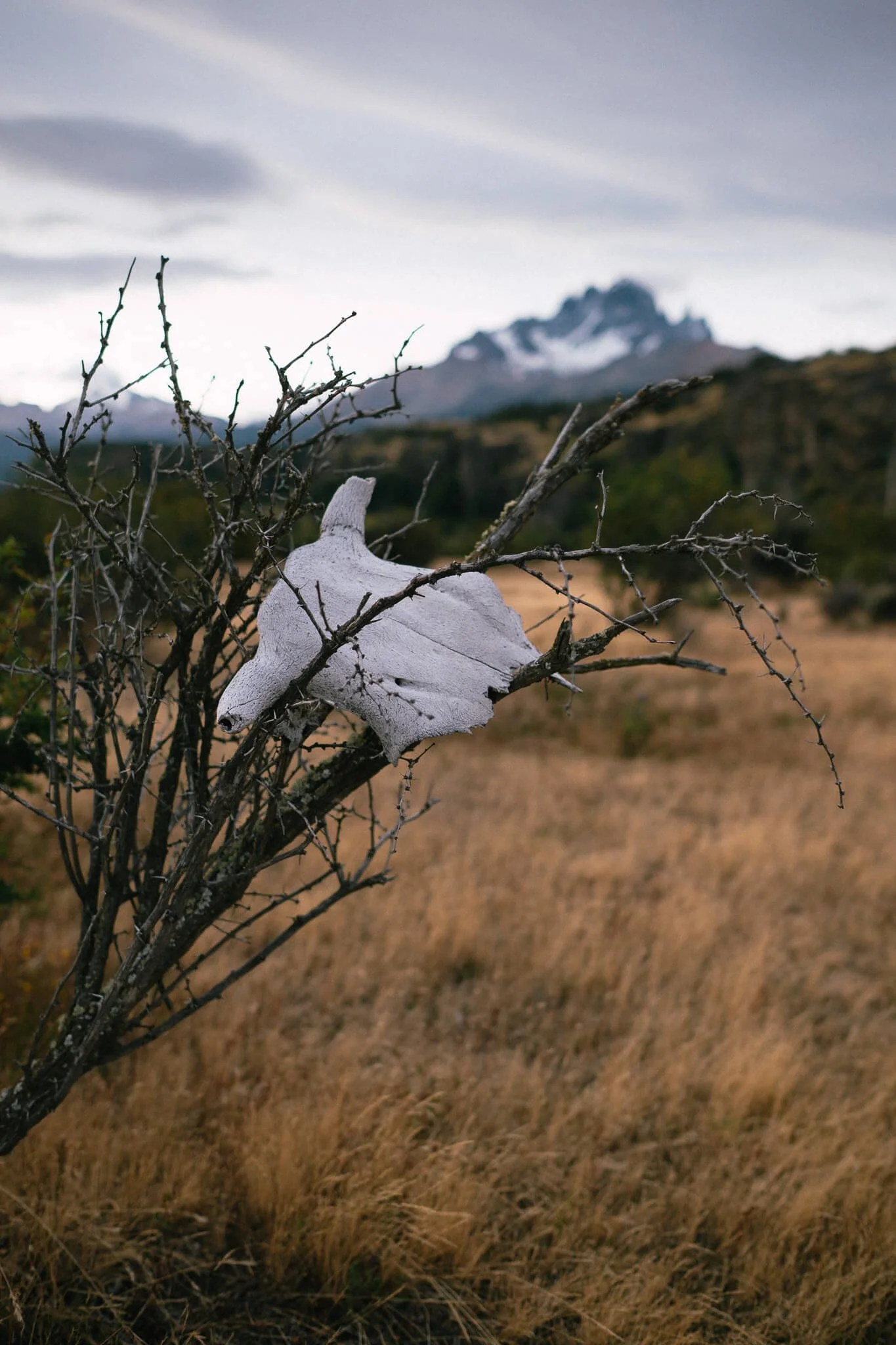 CarmenWetzel-Reisefotografie-PatagonienChile5.jpg