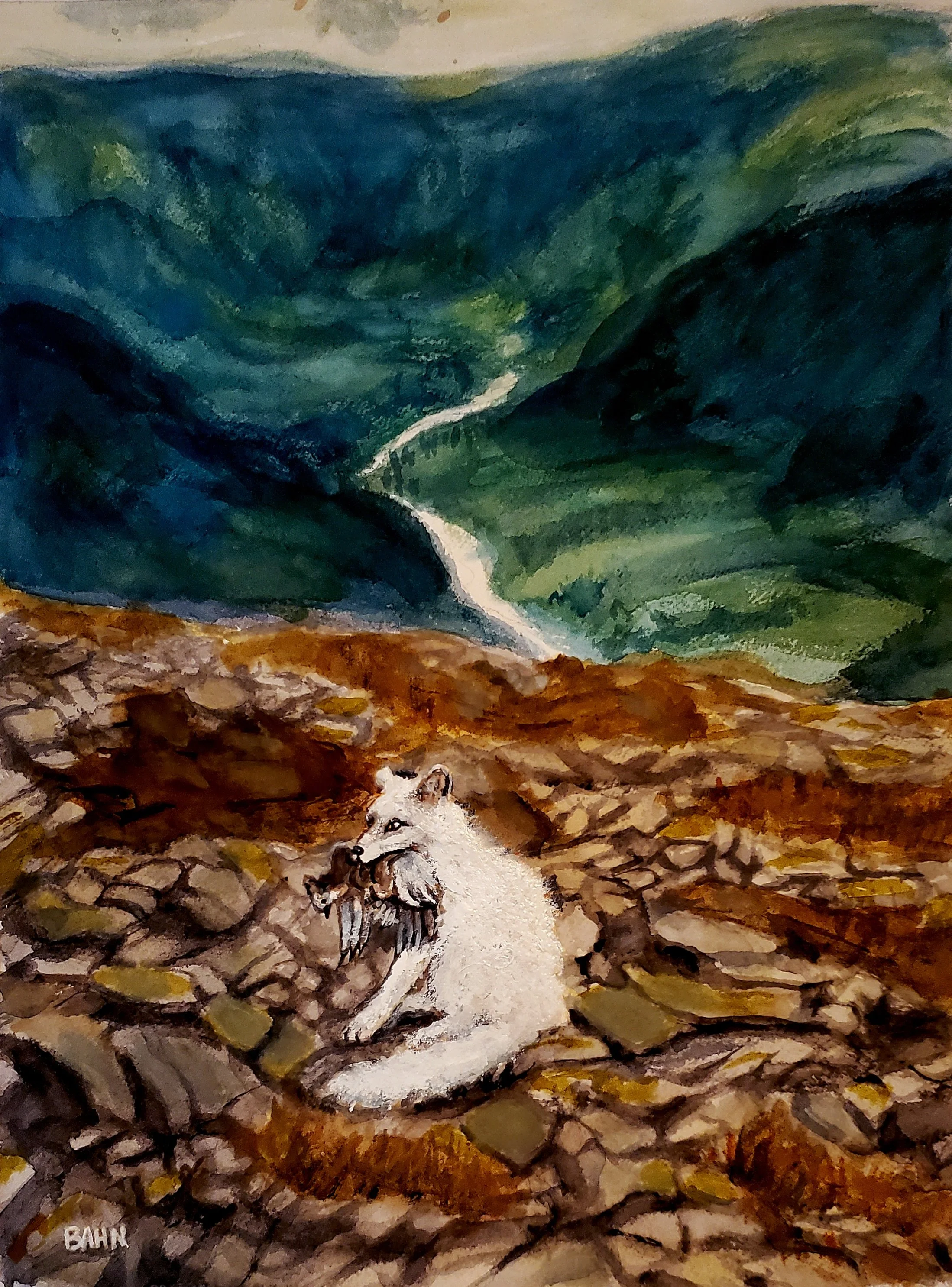 Dovre Fox, watercolor, 2026
