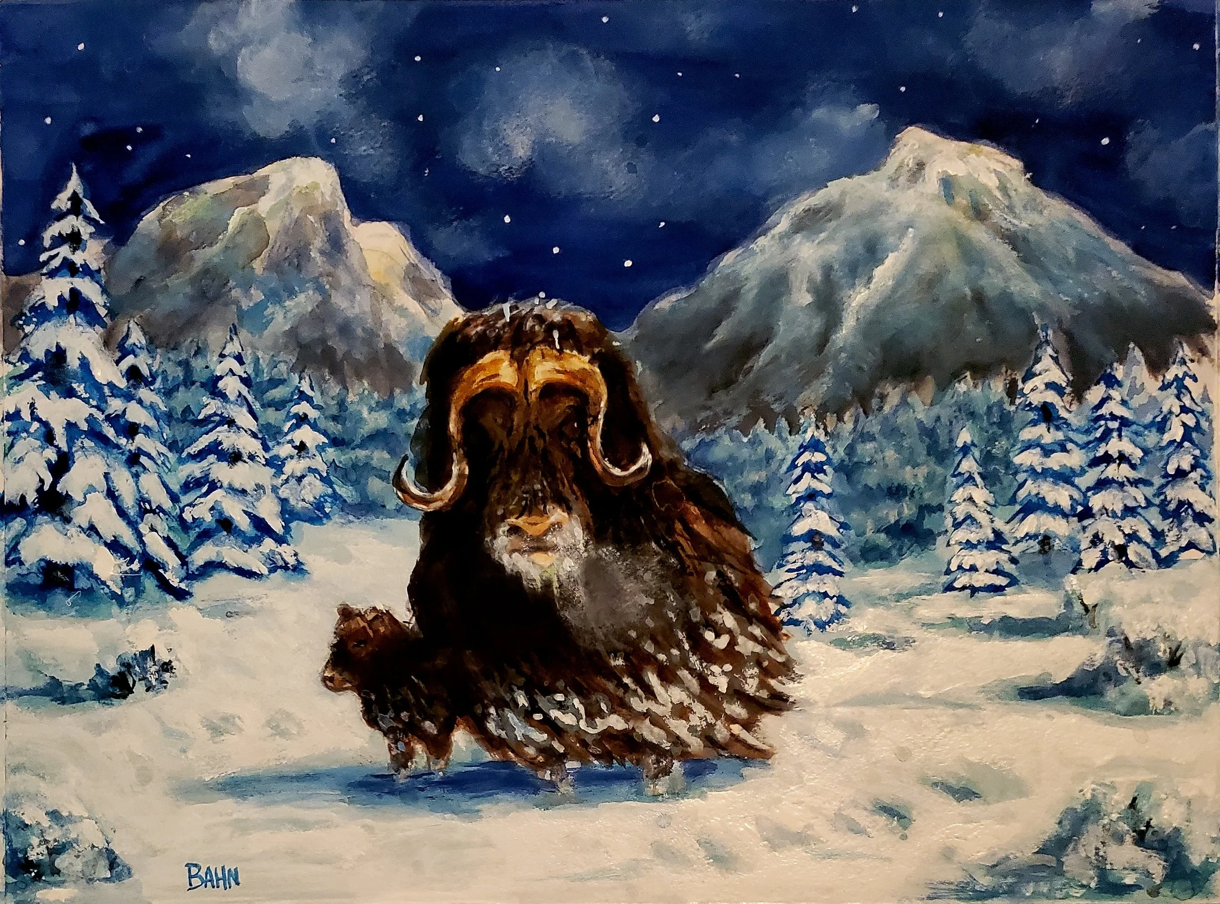Moskus, watercolor, 2026
