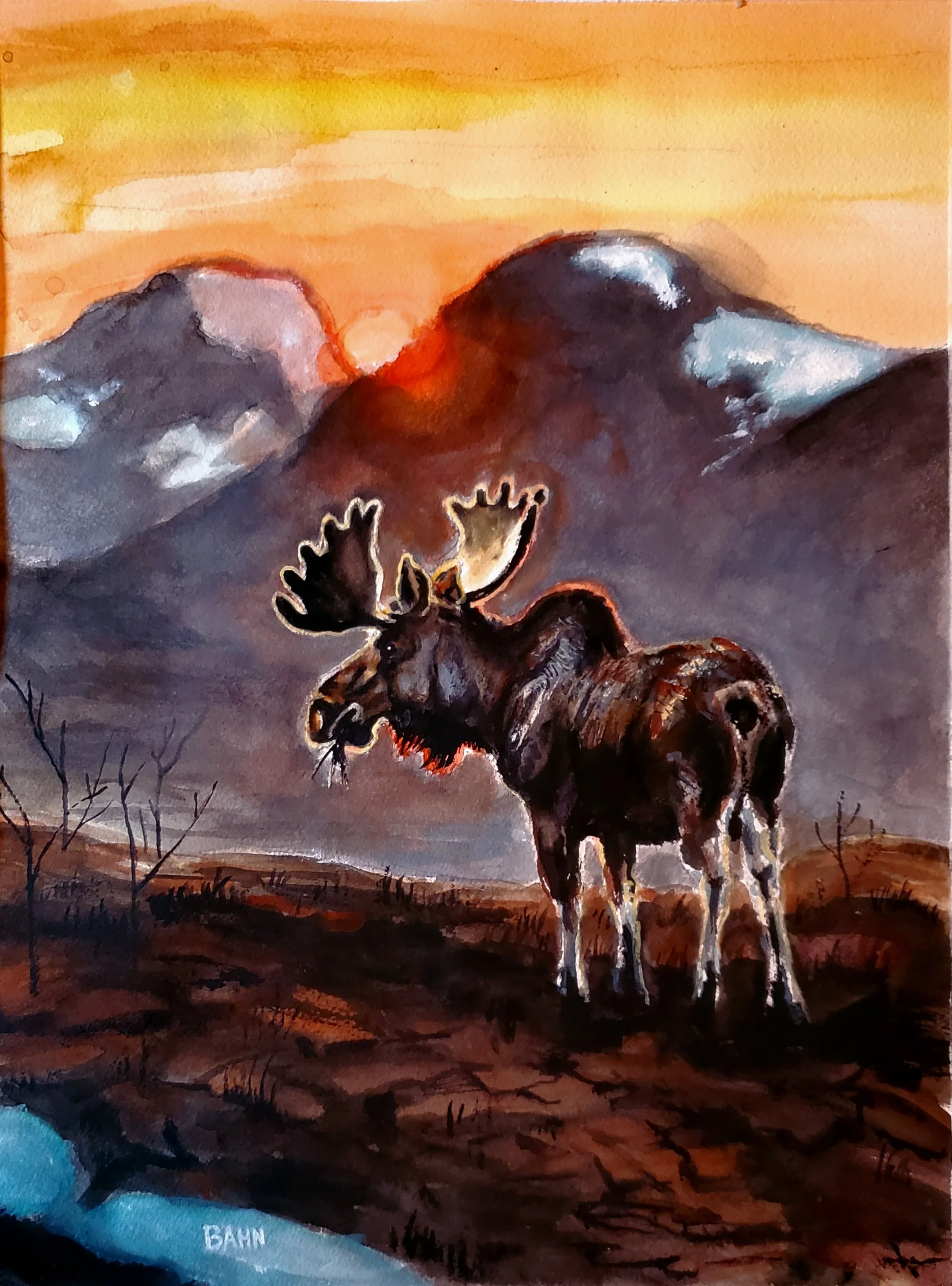 Norsk Elg, watercolor on paper, 2026