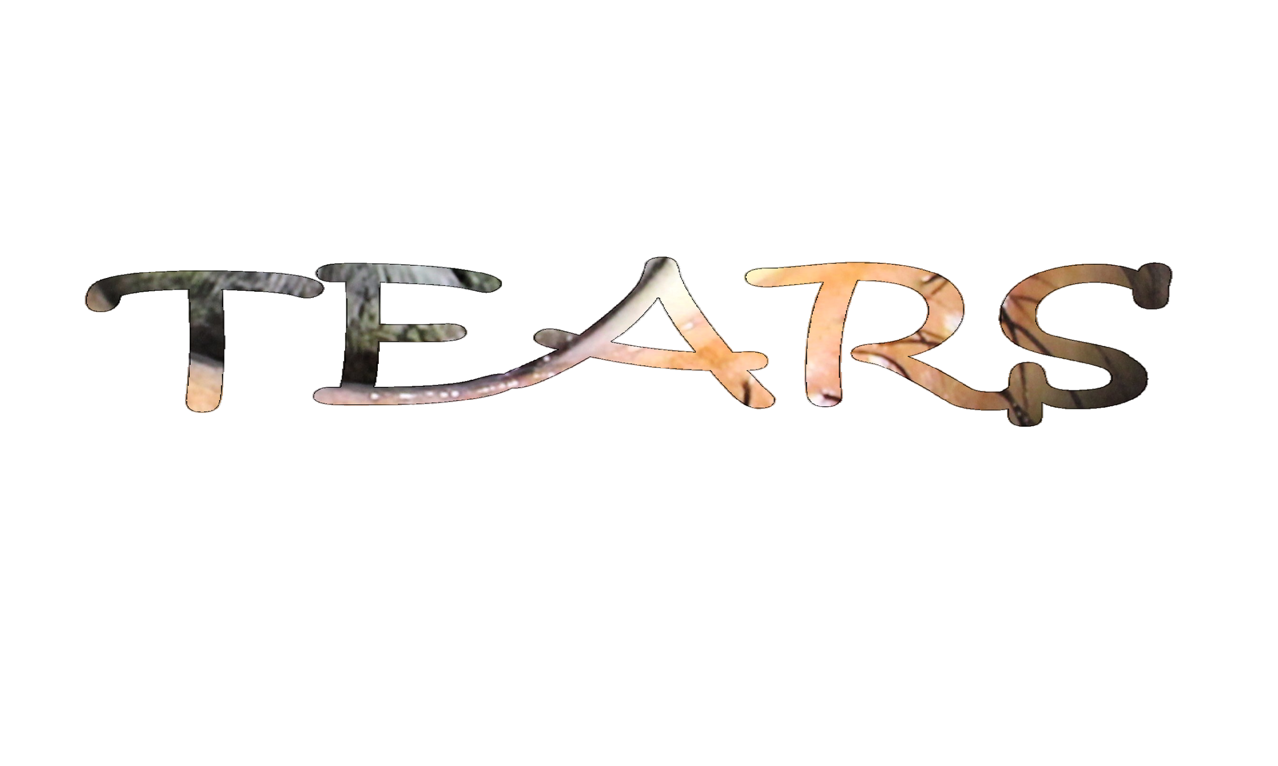 Title Page.png