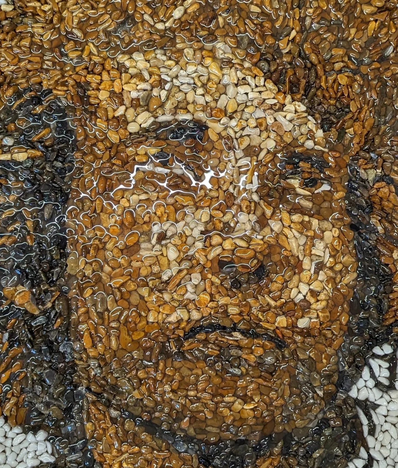 PXL_20230908_125033393%7E3.jpg