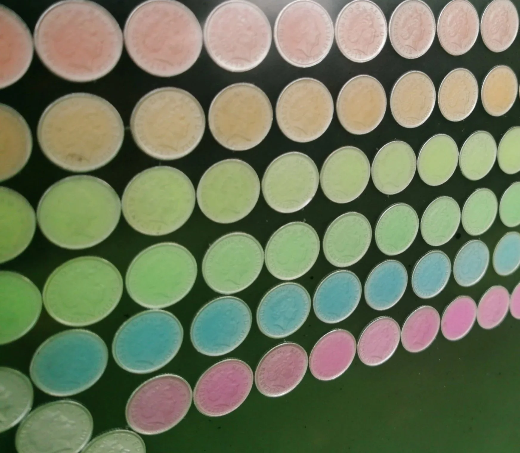 IMG_20220505_170513.jpg