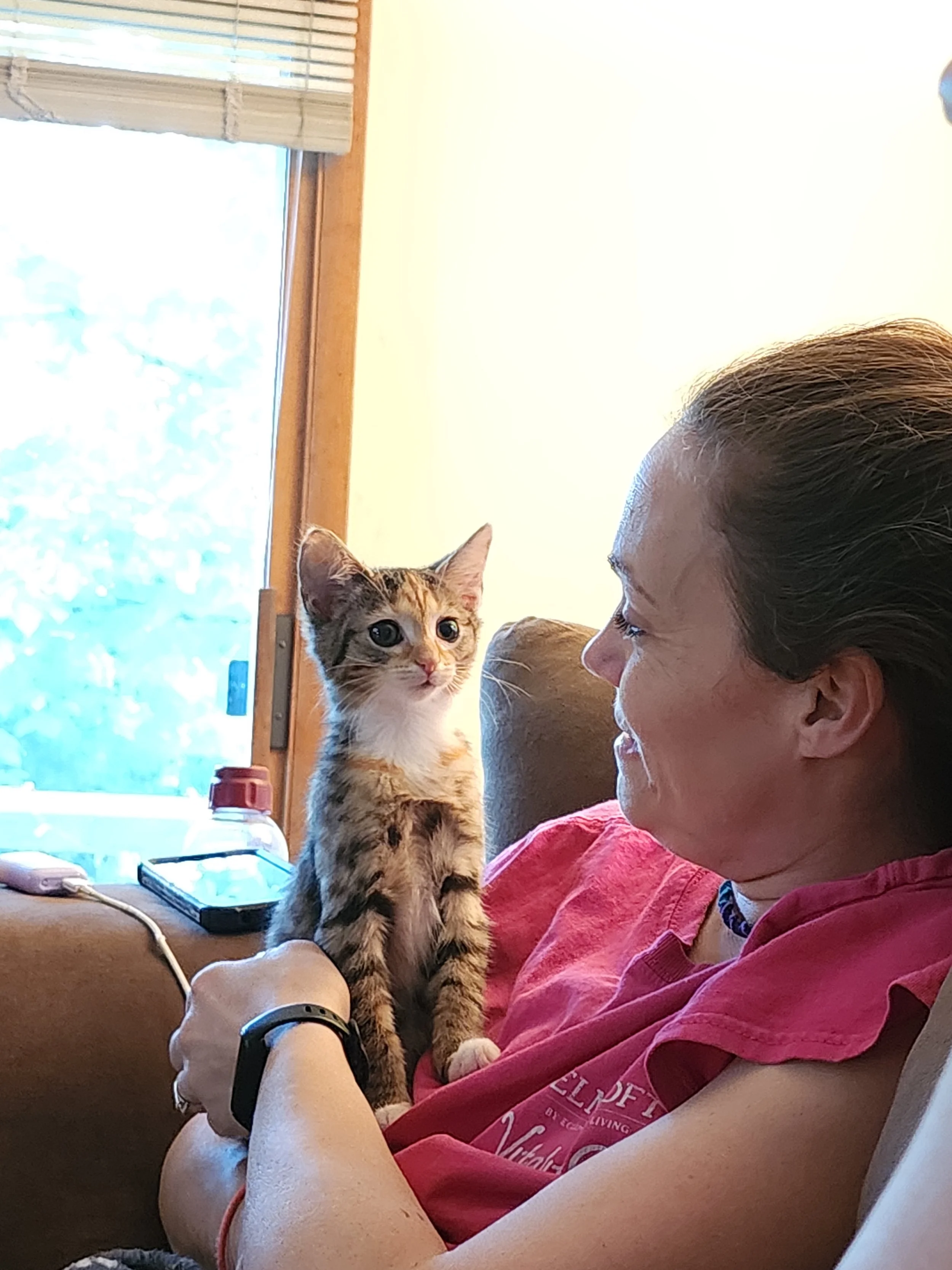 A woman with brown hair pulled back, wearing a pink T-shirt, sitting on a couch, holding a young tabby kitten with a mix of black, orange, and white fur, sitting on her lap, near a window with closed blinds, with a bottle of water, a smartphone, and a computer on the table nearby.