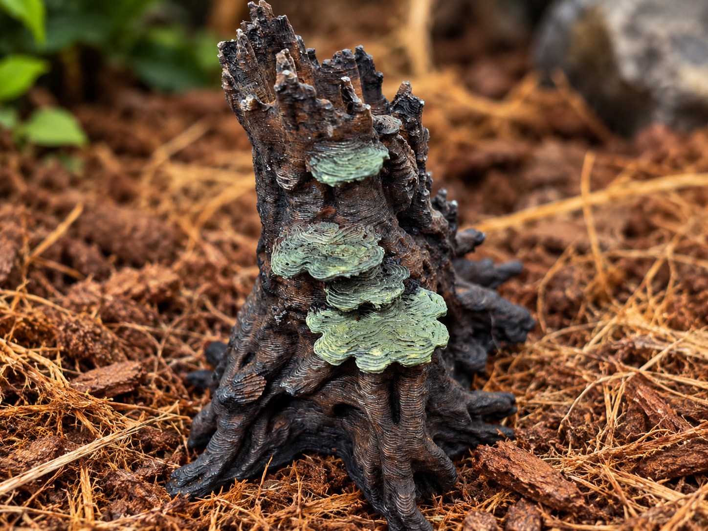 Webkeepers stump mushroom closeup.png