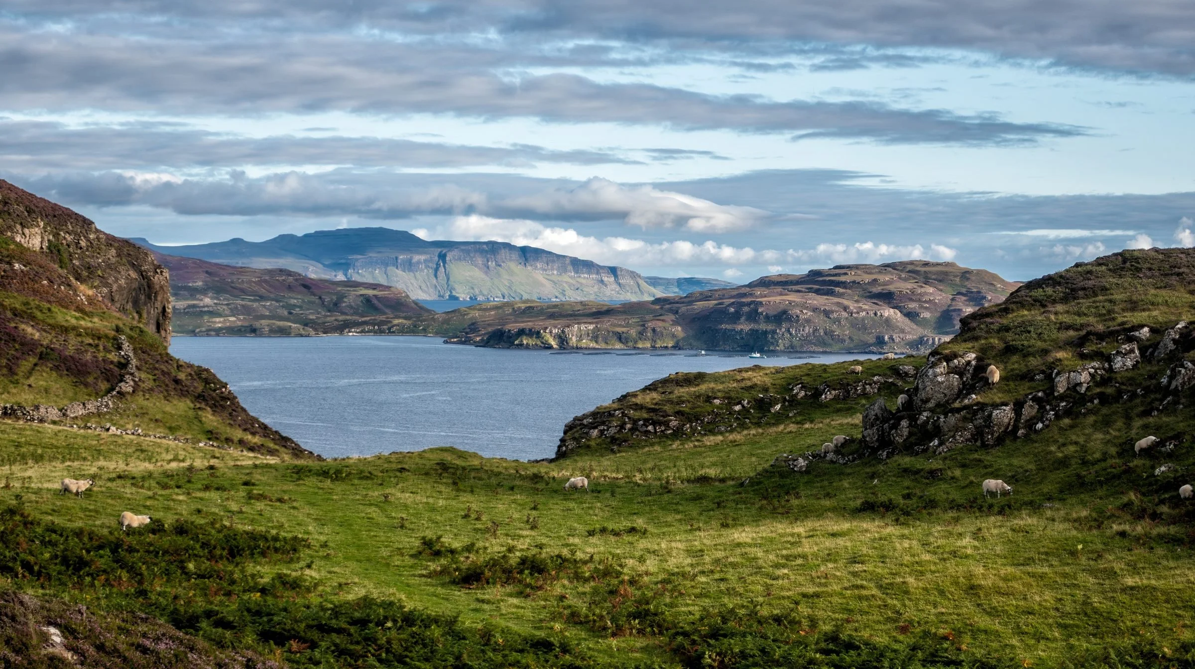 Mull