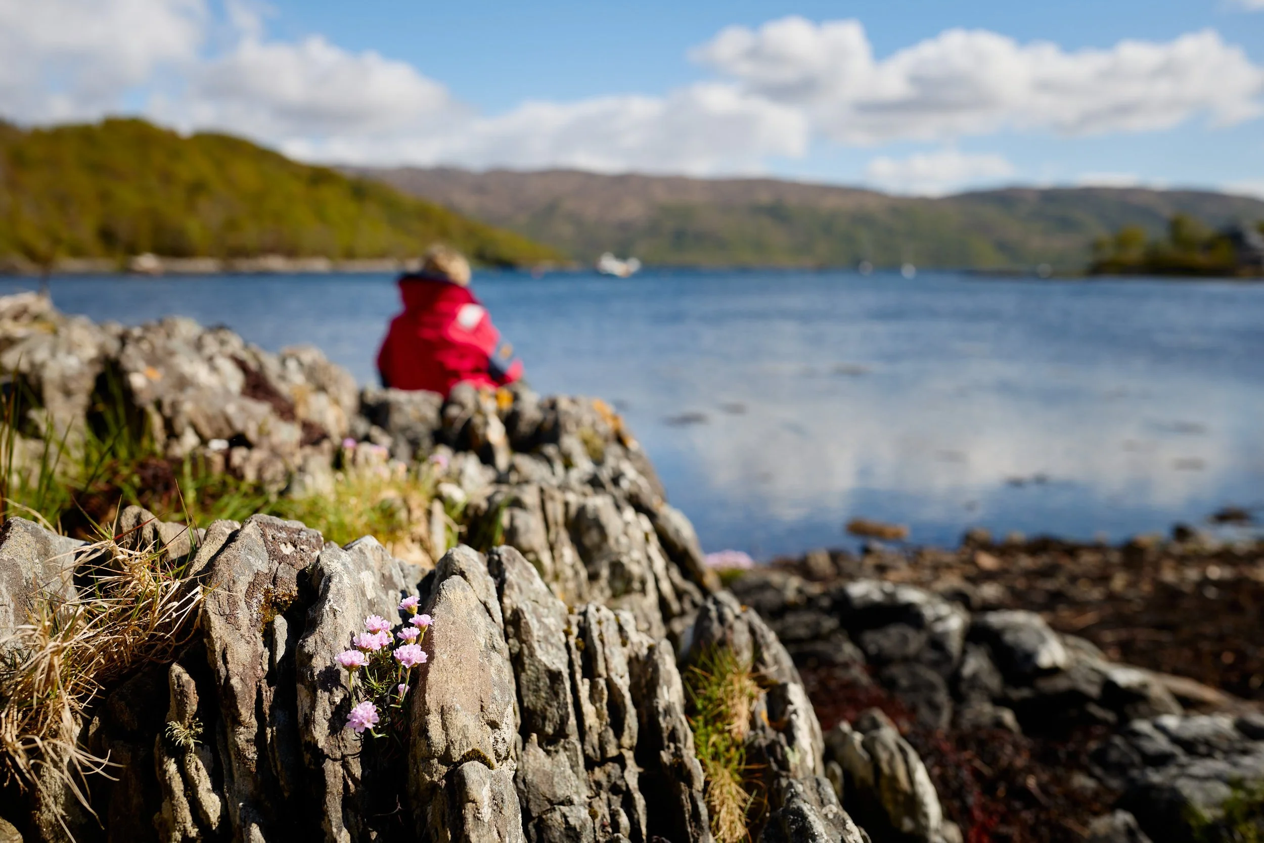 A person in a red jacket sitting on rocks by a body of water, surrounded by green hills and a partly cloudy sky.