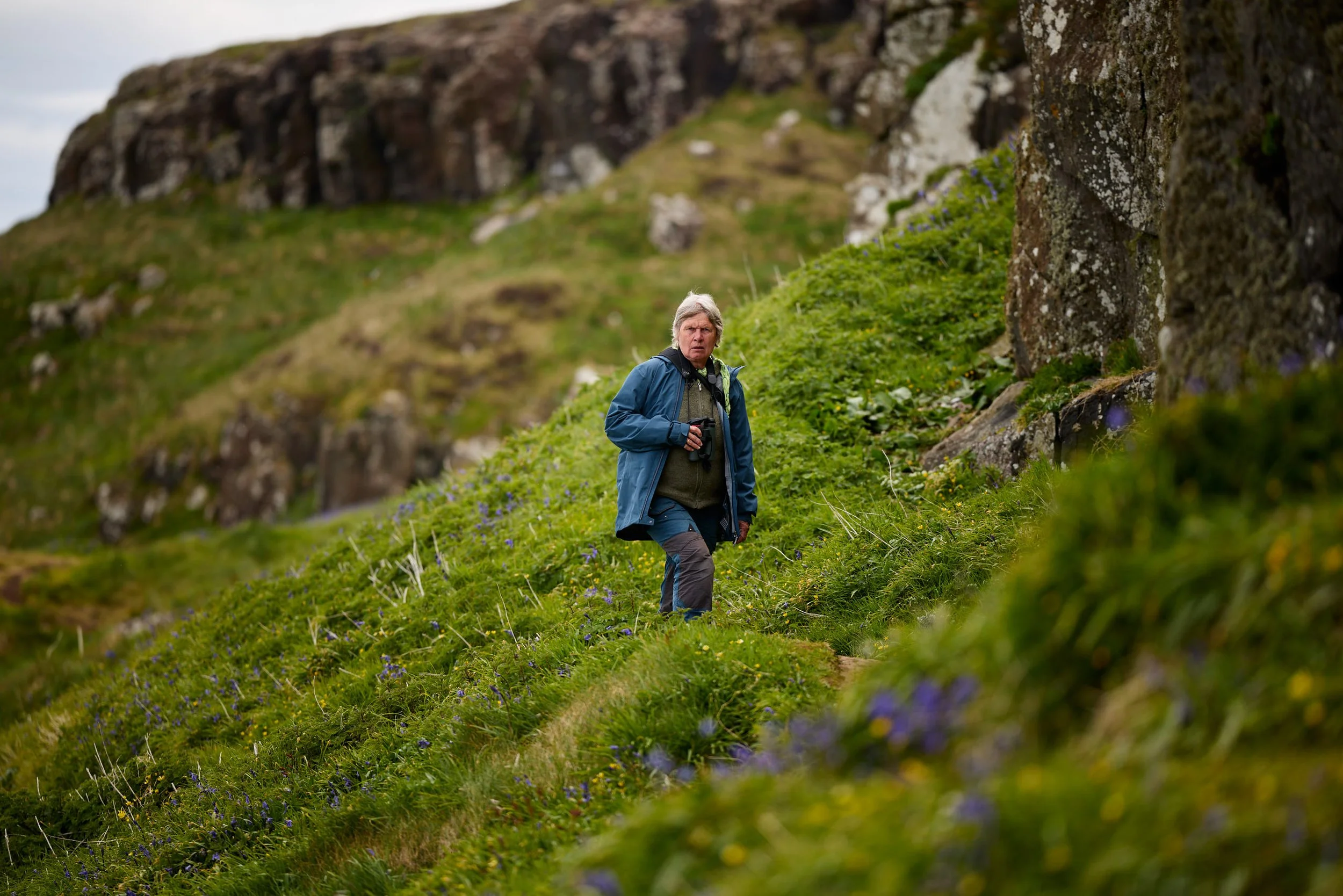 A man walking through a lush green hillside with purple flowers, with rocky cliffs in the background.