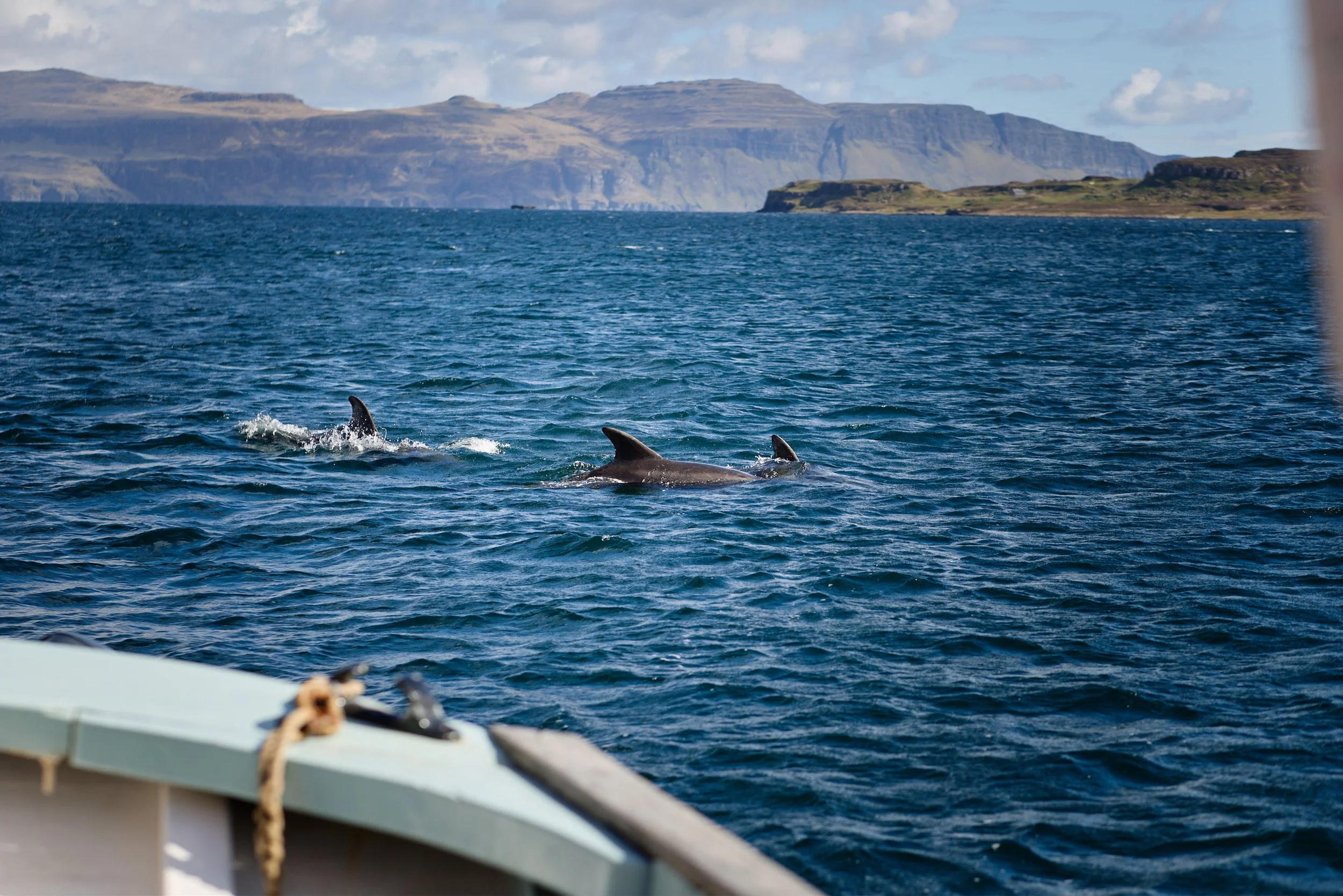 View from a boat showing three dolphins swimming in the ocean with rocky islands and cliffs in the background under a partly cloudy sky.