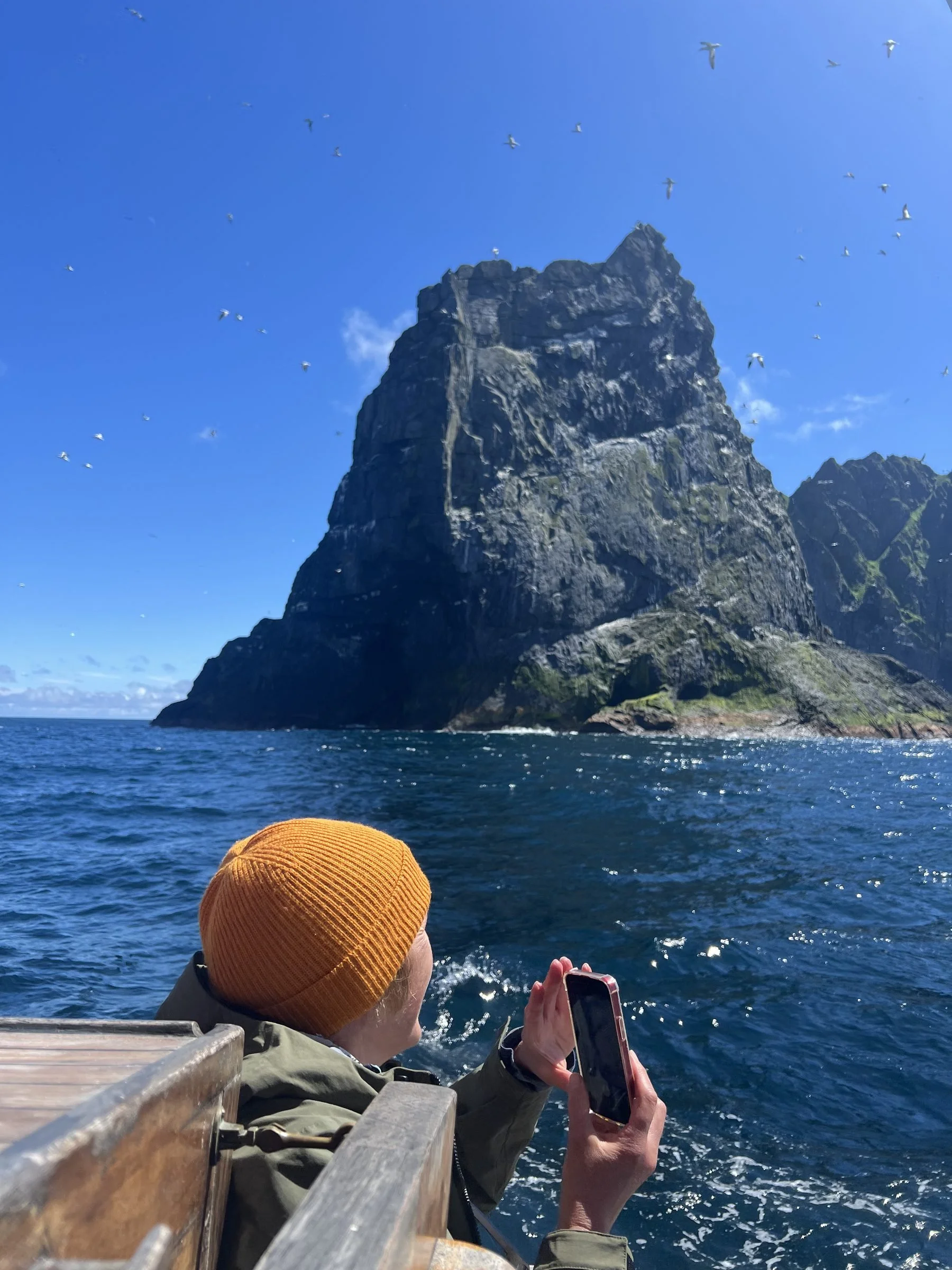 Person wearing an orange beanie and gray jacket taking a photo with a smartphone while sitting on a boat, with St Kilda and flying birds in the background under a blue sky.