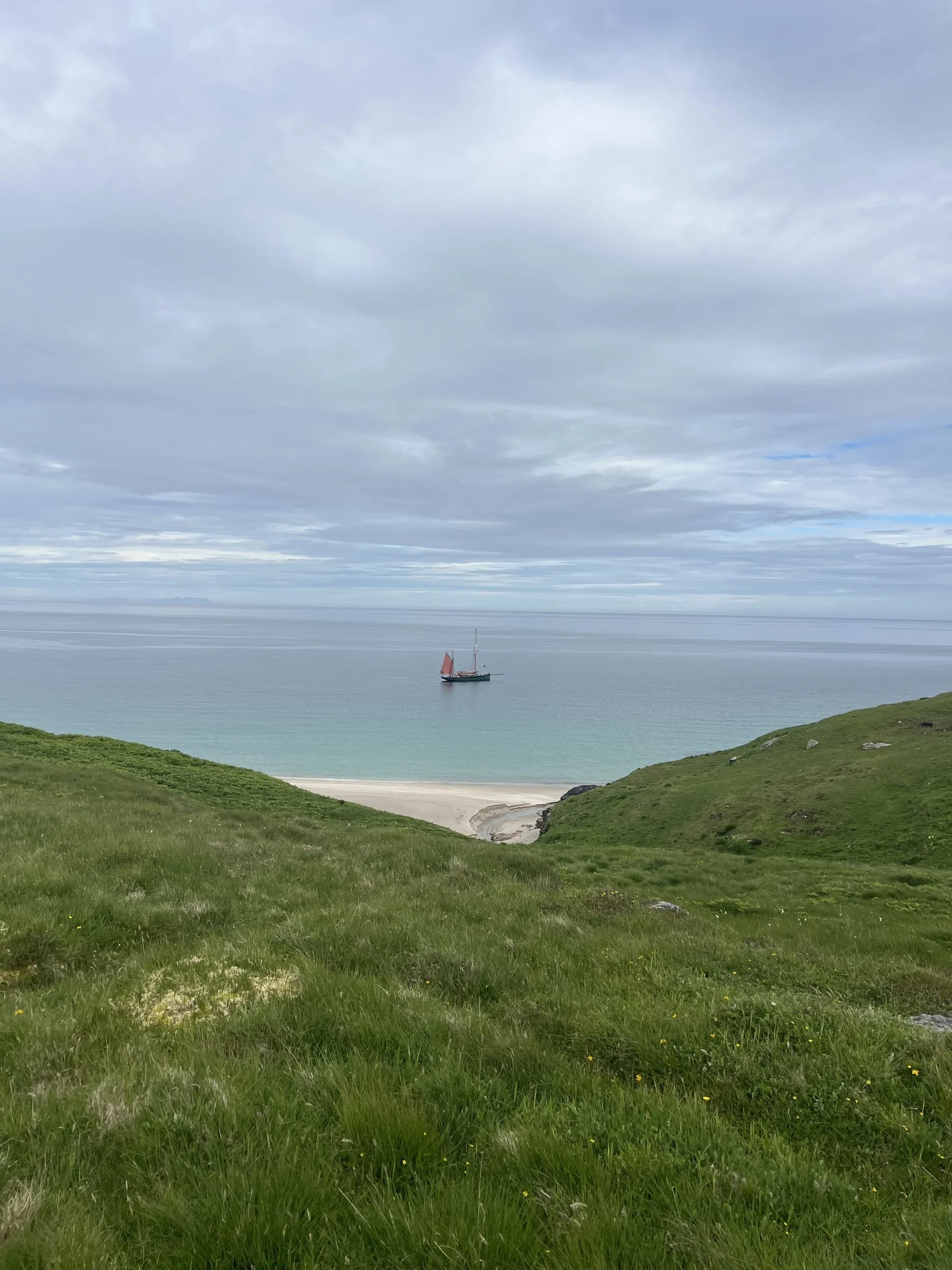 A grassy hillside slopes down to a sandy beach and calm ocean, with a sailboat in the distance under a cloudy sky.