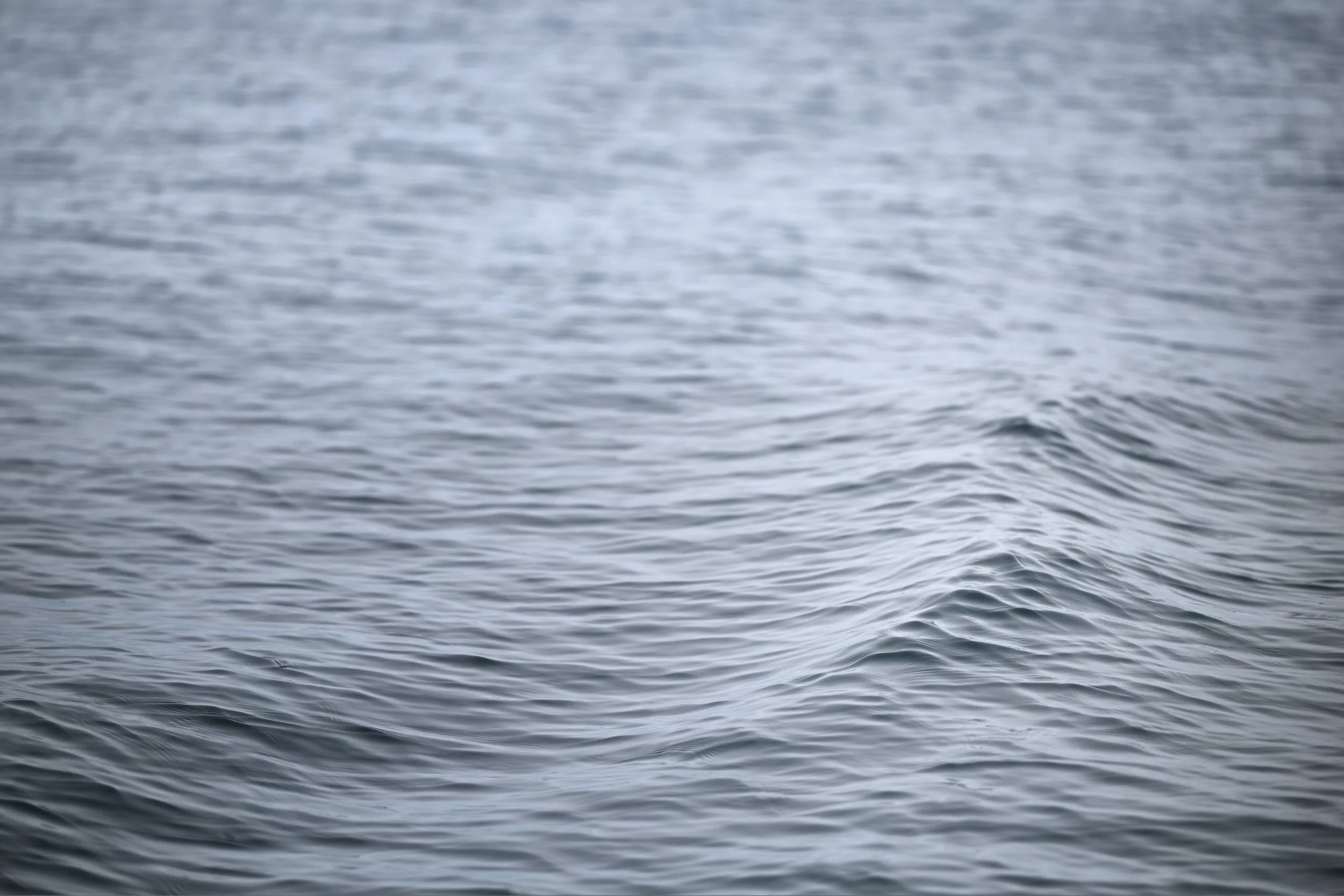 A body of water with ripples and small waves, mostly calm and slightly textured.