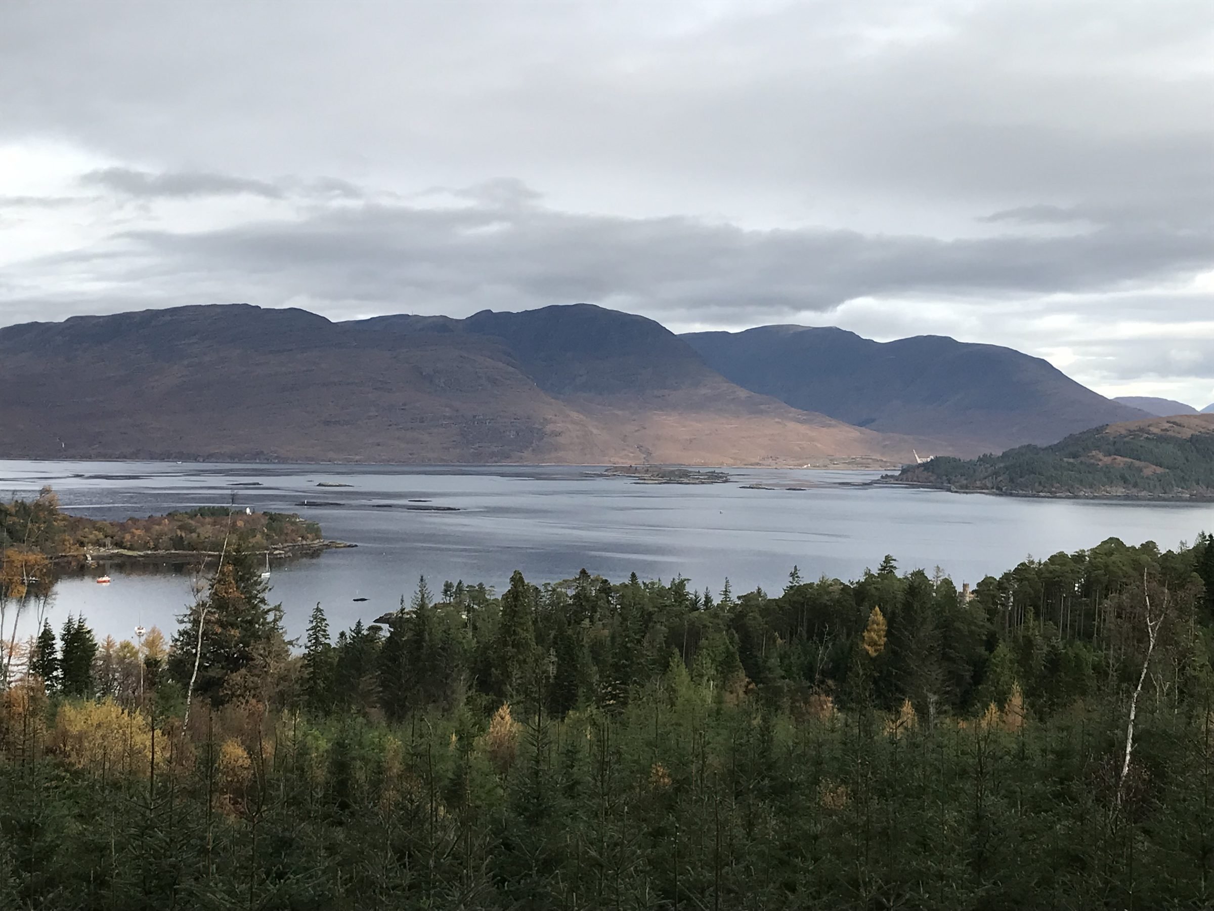 A landscape view of a body of water with mountains in the background and a forested area in the foreground under a cloudy sky.