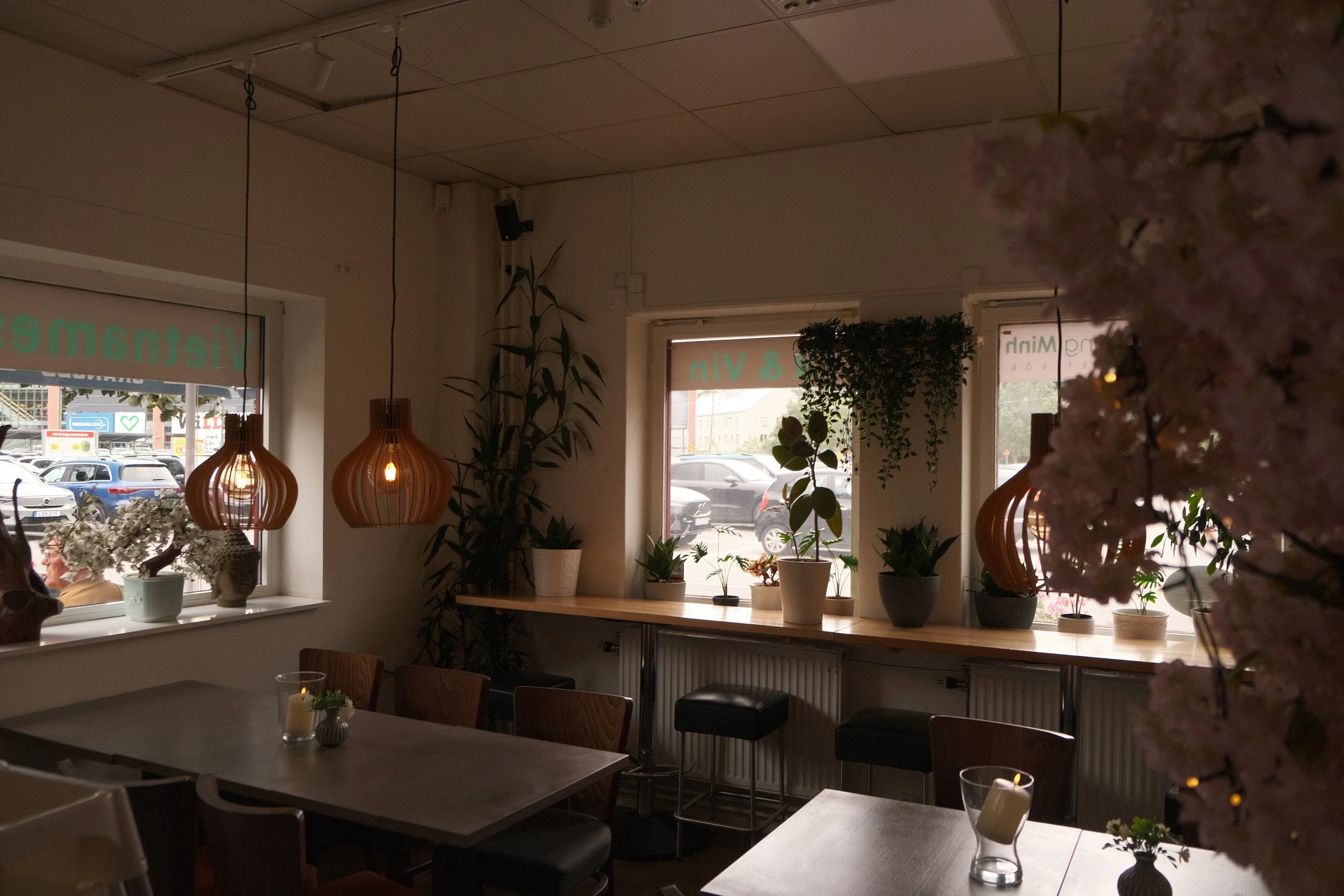 Interiör av ett café eller restaurant med massor av gröna växter, träbord, stolar och hängande lampor, samt stora fönster som visar bilar och byggnader utomhus.