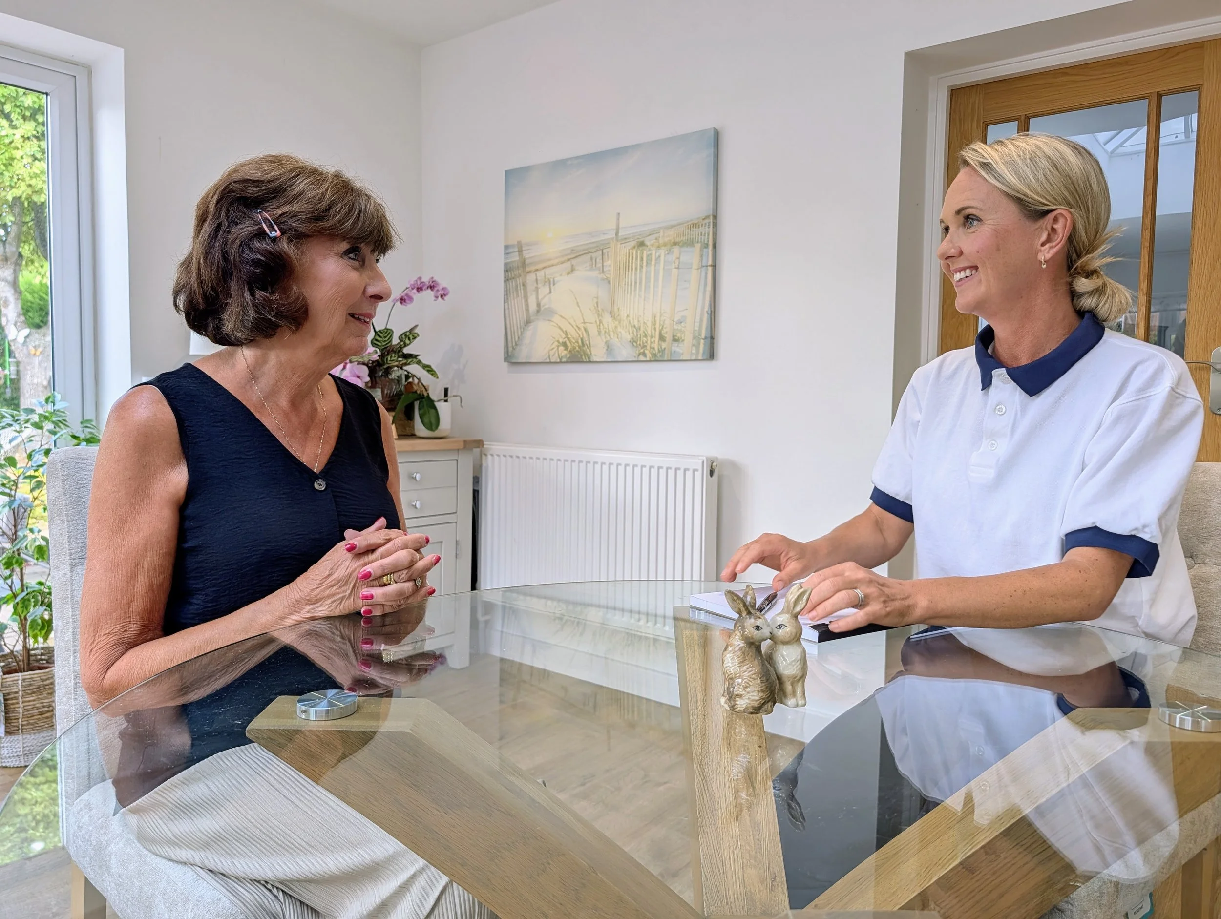 Two women smiling and conversing across a glass table in a bright room, with a painting of a beach scene and a potted plant in the background.