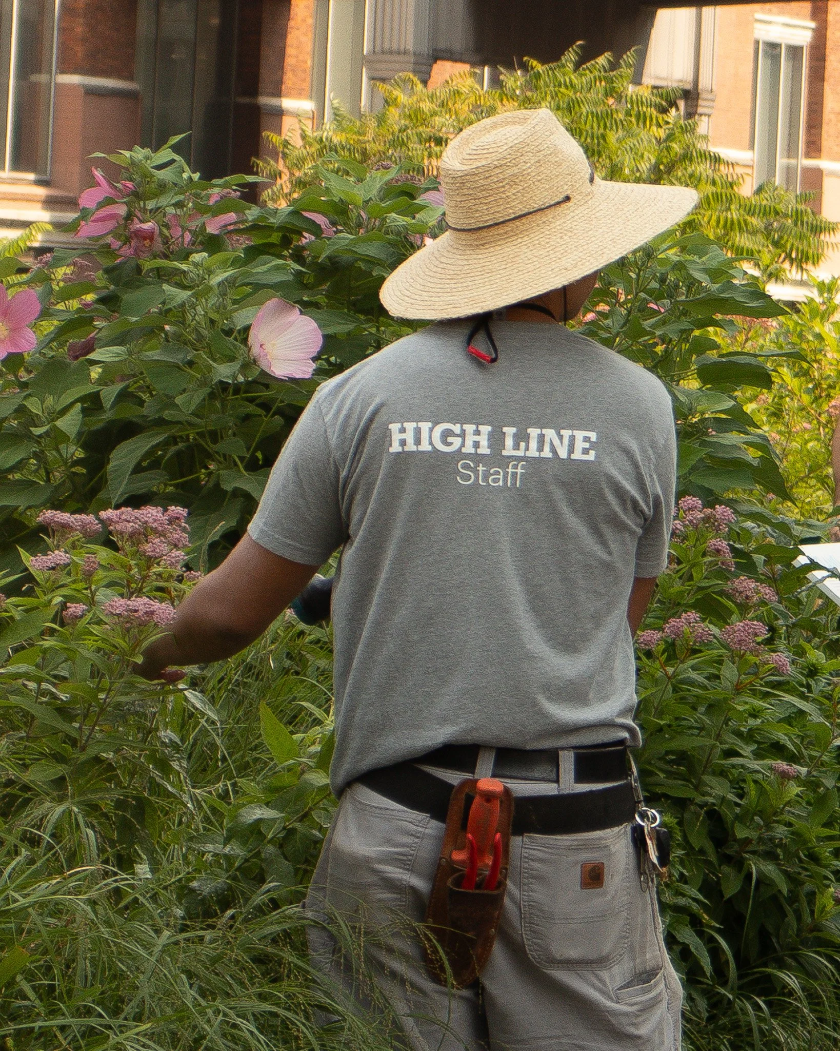 The park employs over 80 people, including a team of 10 dedicated horticulturists who maintain the greenery.