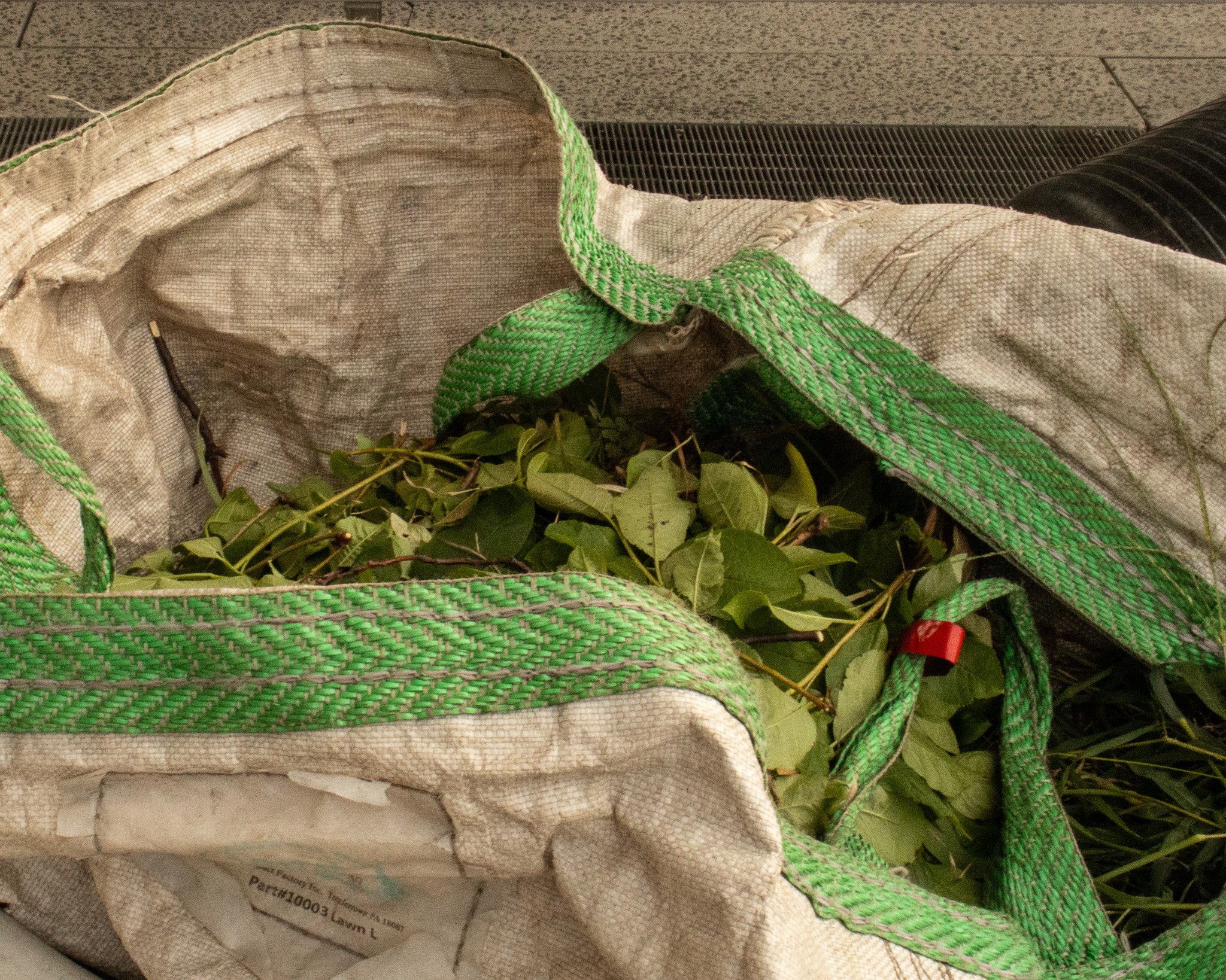 Large sacks of debris and pruned leaves rest on the pathways. These bags show the scale of what the employees and volunteers are able to accomplish.