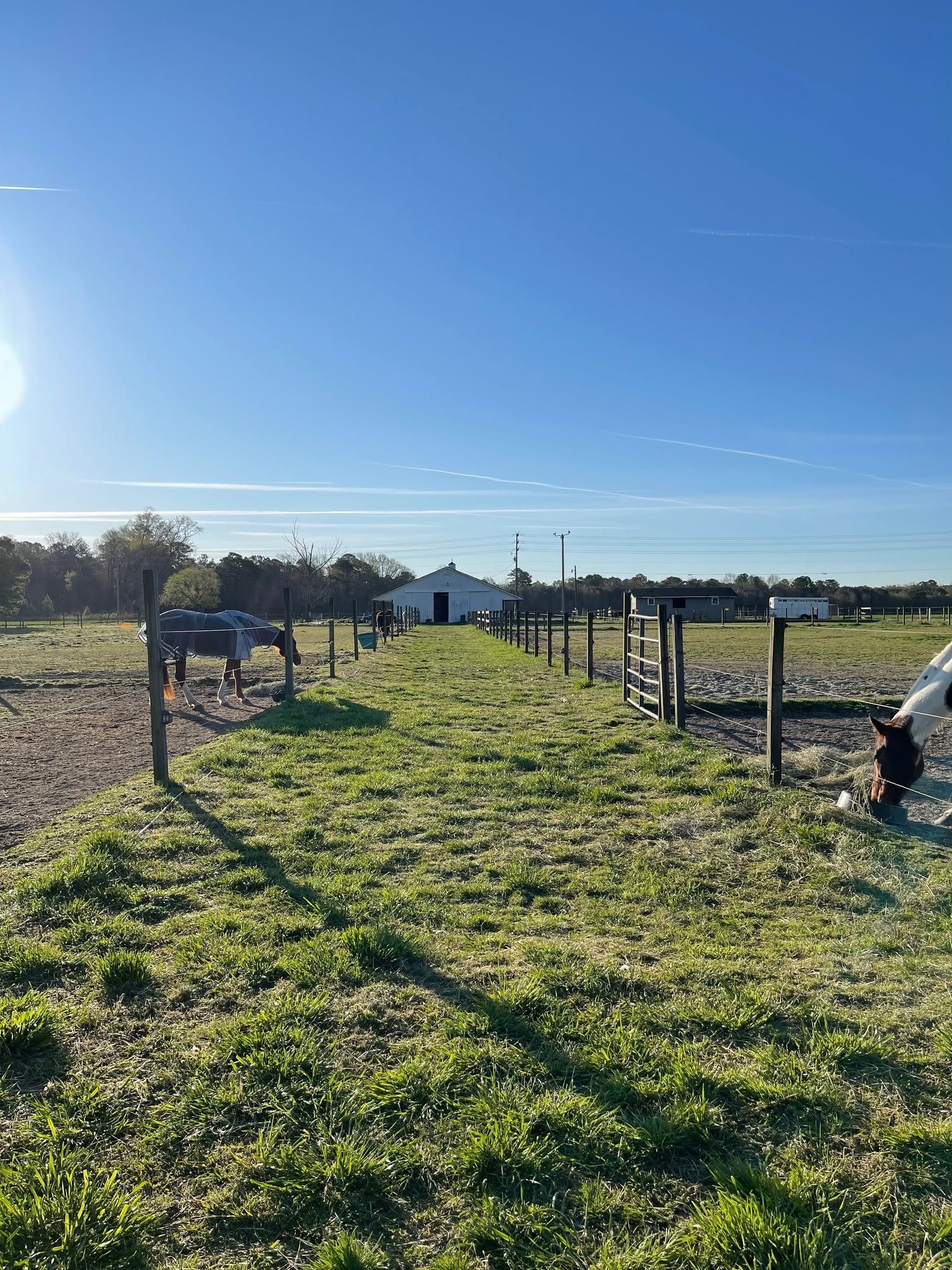 A rural farm scene under a clear blue sky with planes leaving contrails. There are horses grazing, a white barn, and a fenced area with green grass and dirt patches.