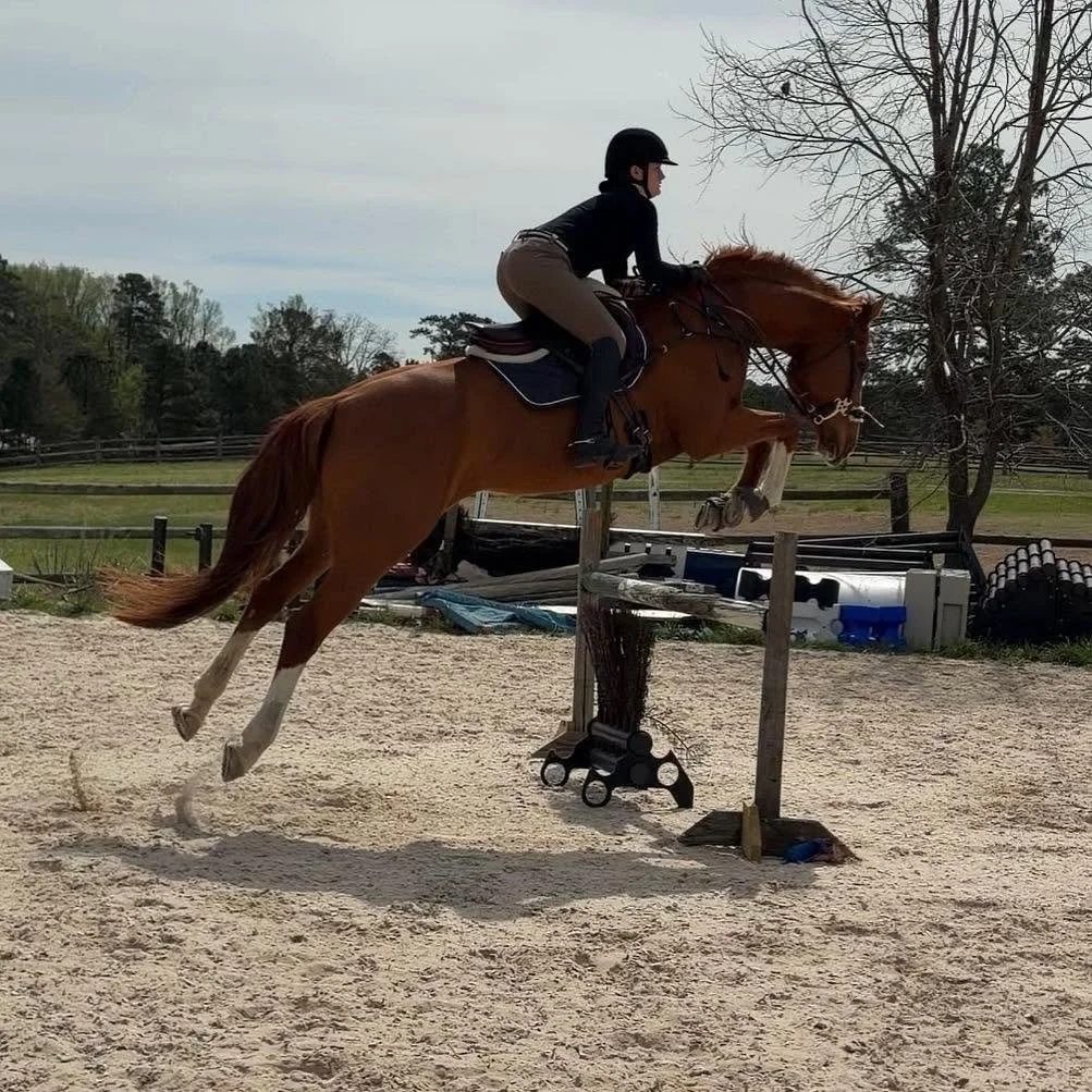 A woman riding a horse jumps over an obstacle in an outdoor equestrian arena on a cloudy day.