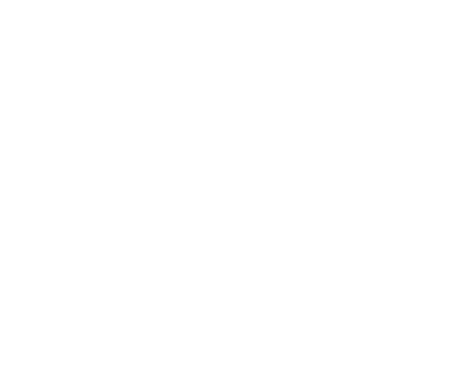 SHIM HOLDINGS