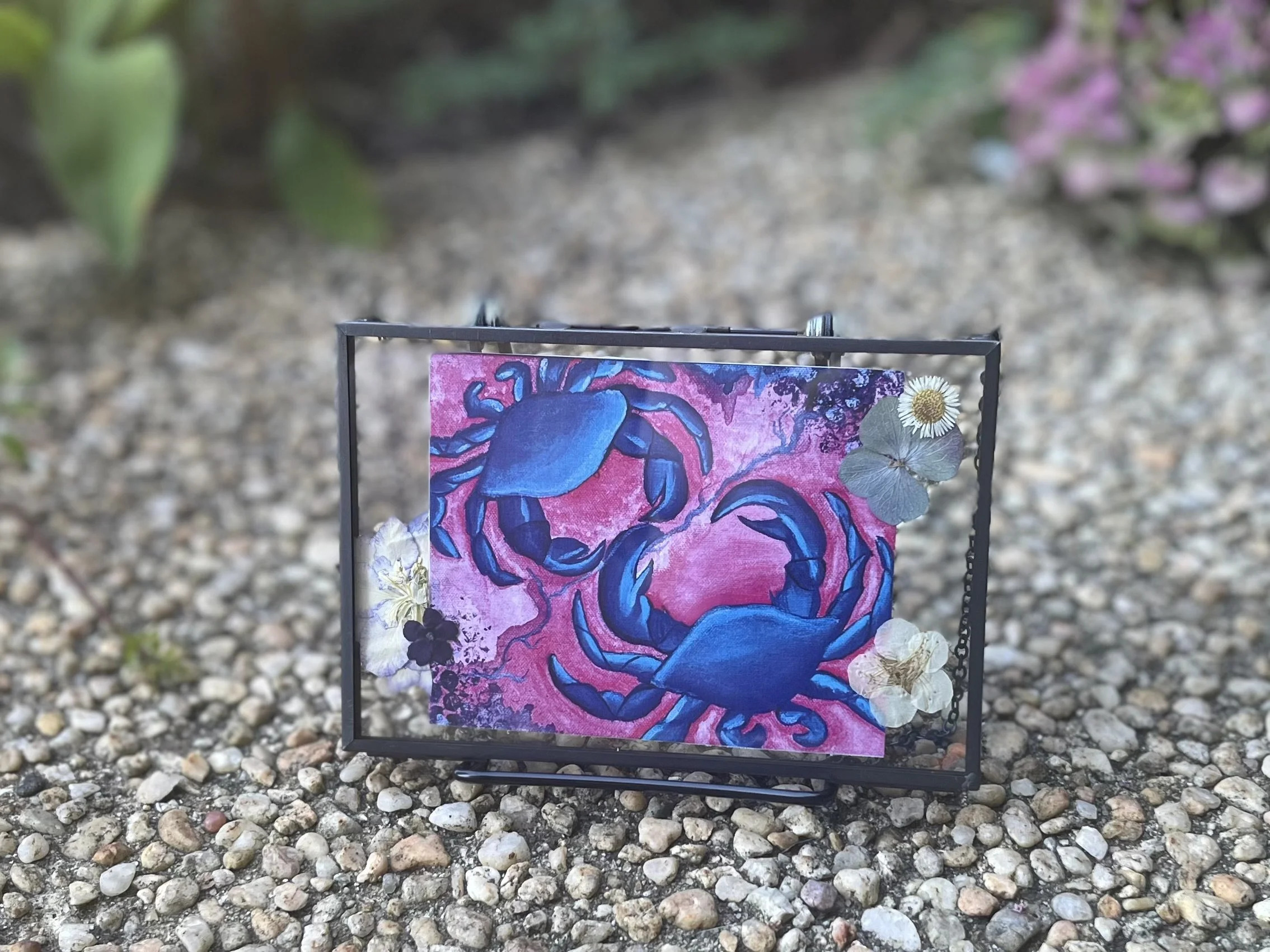 Cancer Crabs (Hanging Frame)