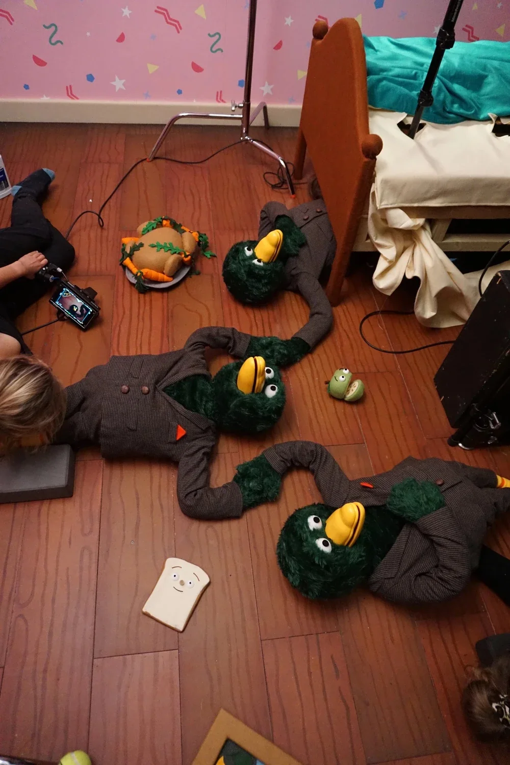 Family_bts_Ducks_laying_on_floor.webp