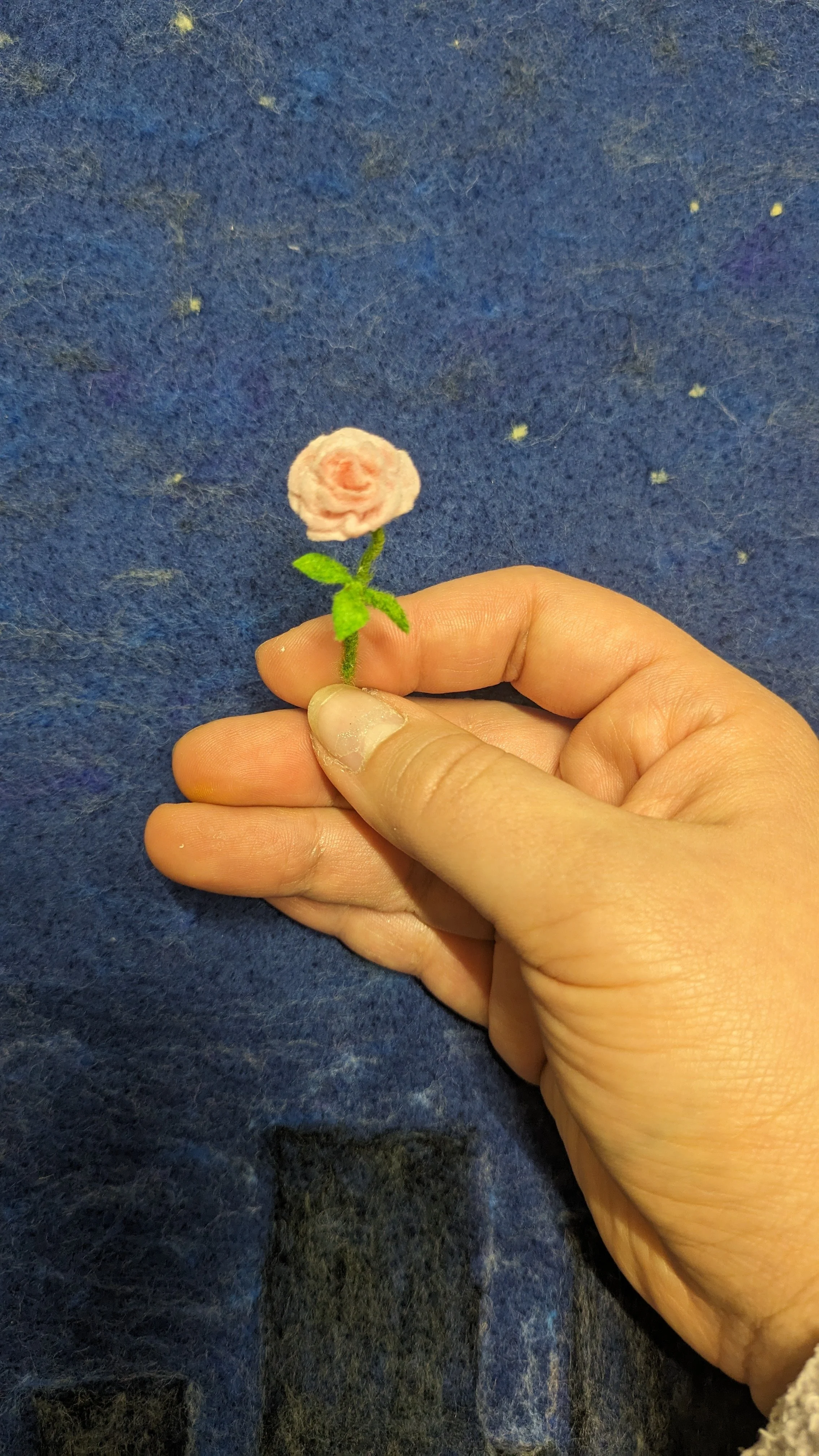 1000008851.JPG