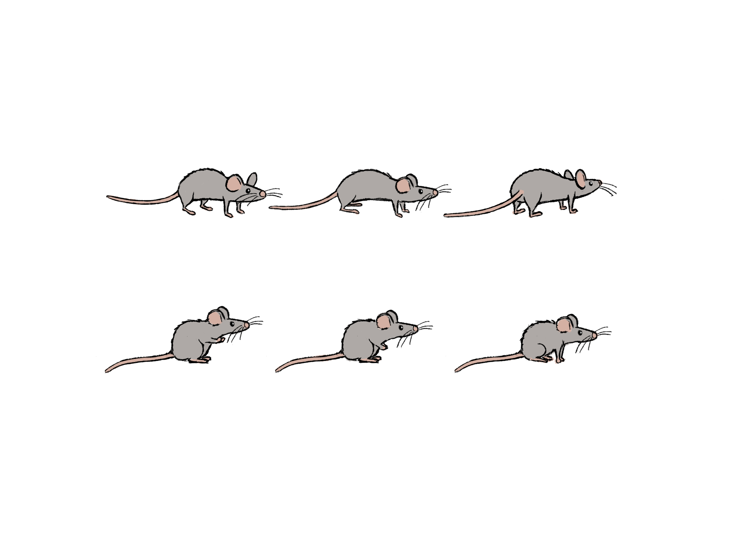 GraveyardMouse_turnaroundScale__v01.png
