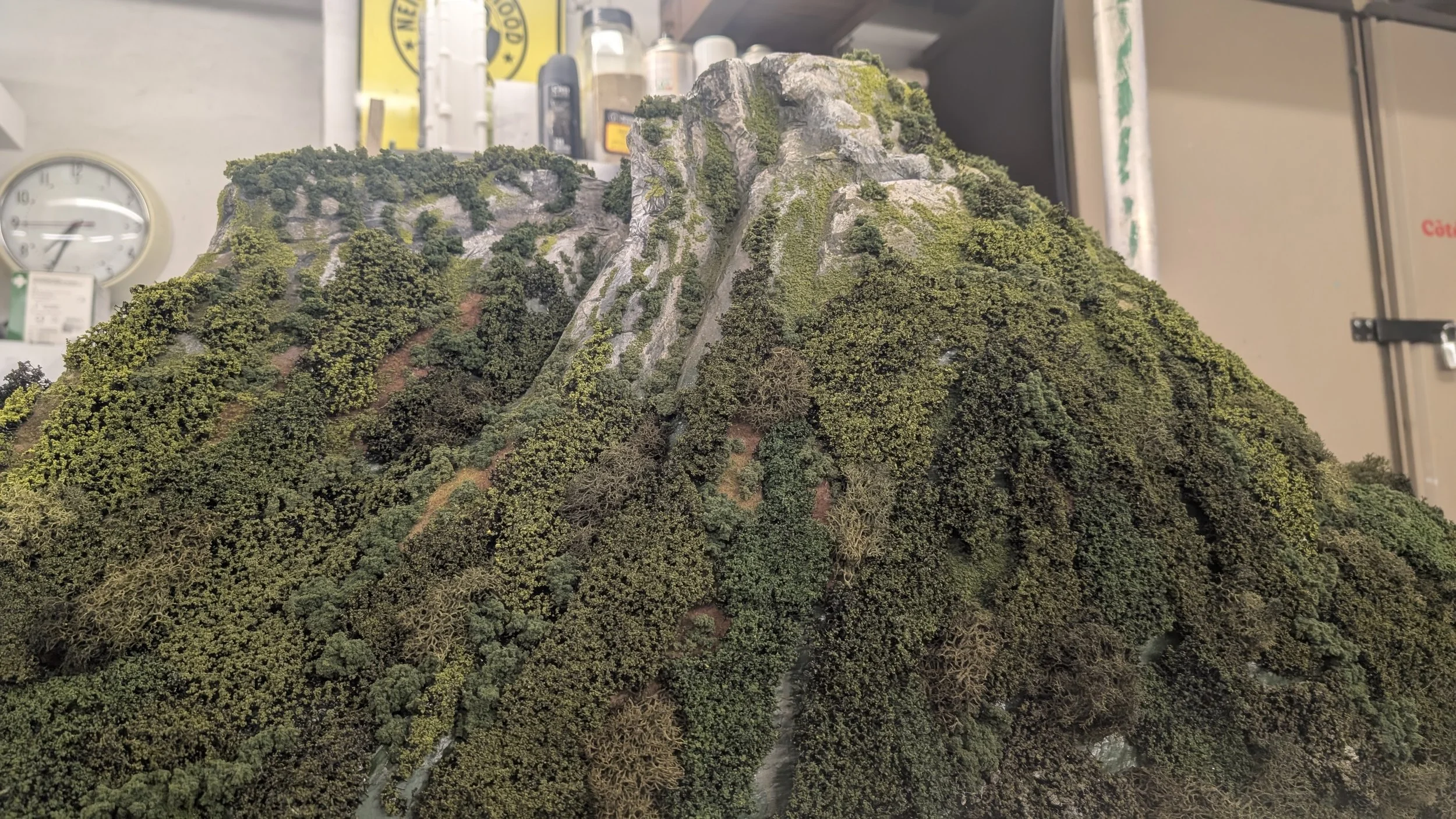 1000048336.JPG