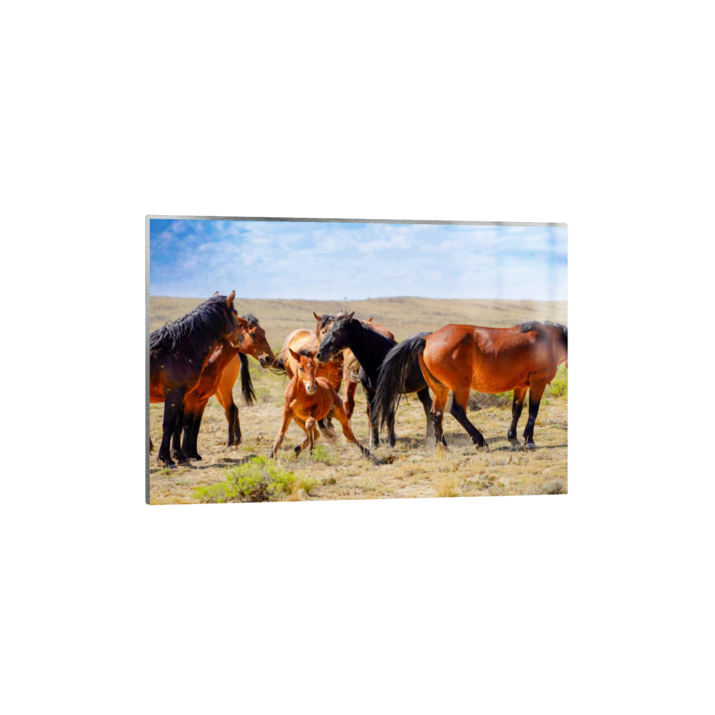 Good Morning fine art print, framed mockup