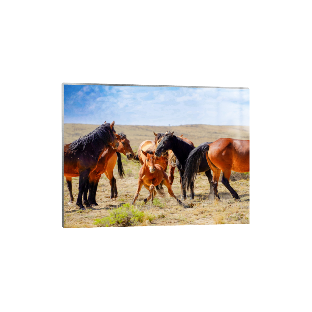 Good Morning fine art print, framed mockup