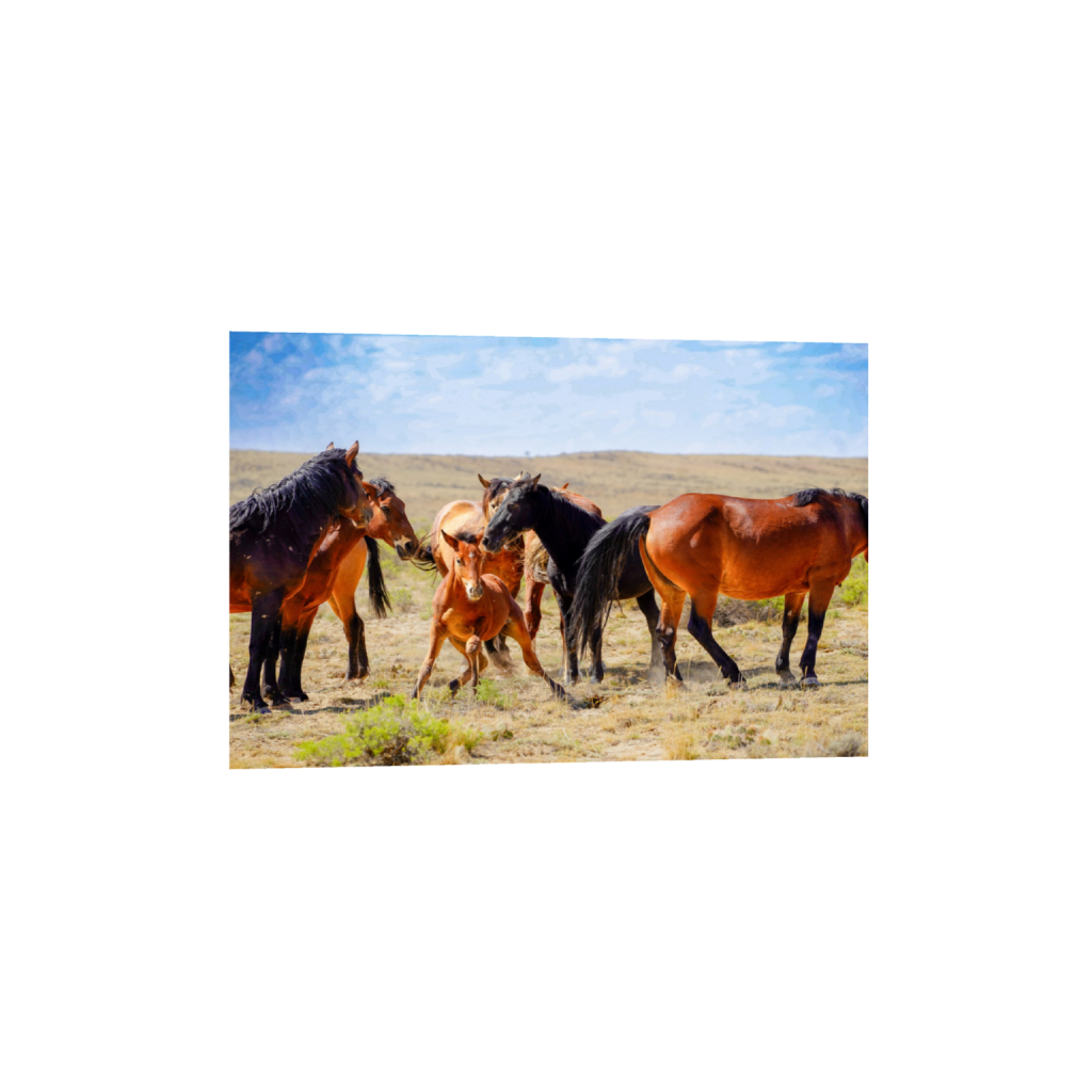 Good Morning fine art print, framed mockup
